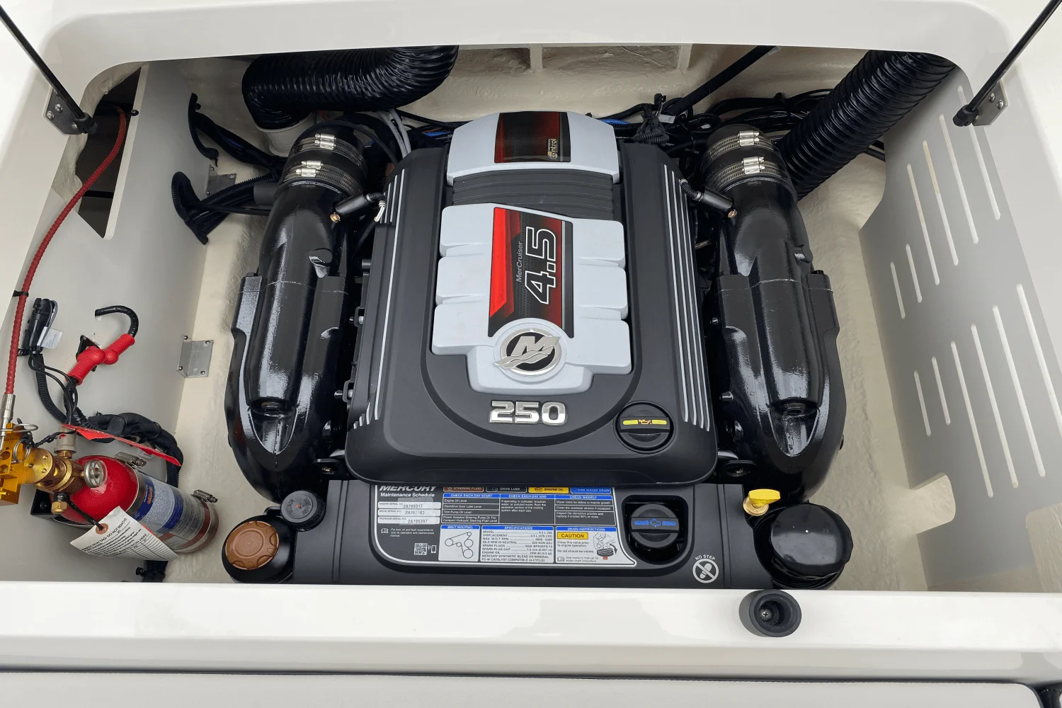 2024 Sea Ray 210 SPX Image Thumbnail #19