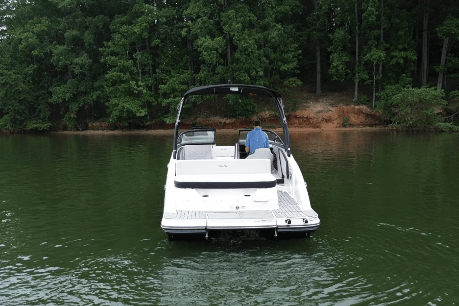 2024 Sea Ray 210 SPX Image Thumbnail #3