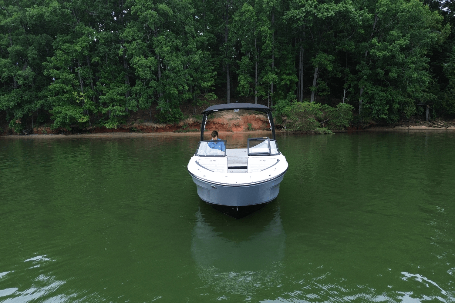 2024 Sea Ray 210 SPX Image Thumbnail #3