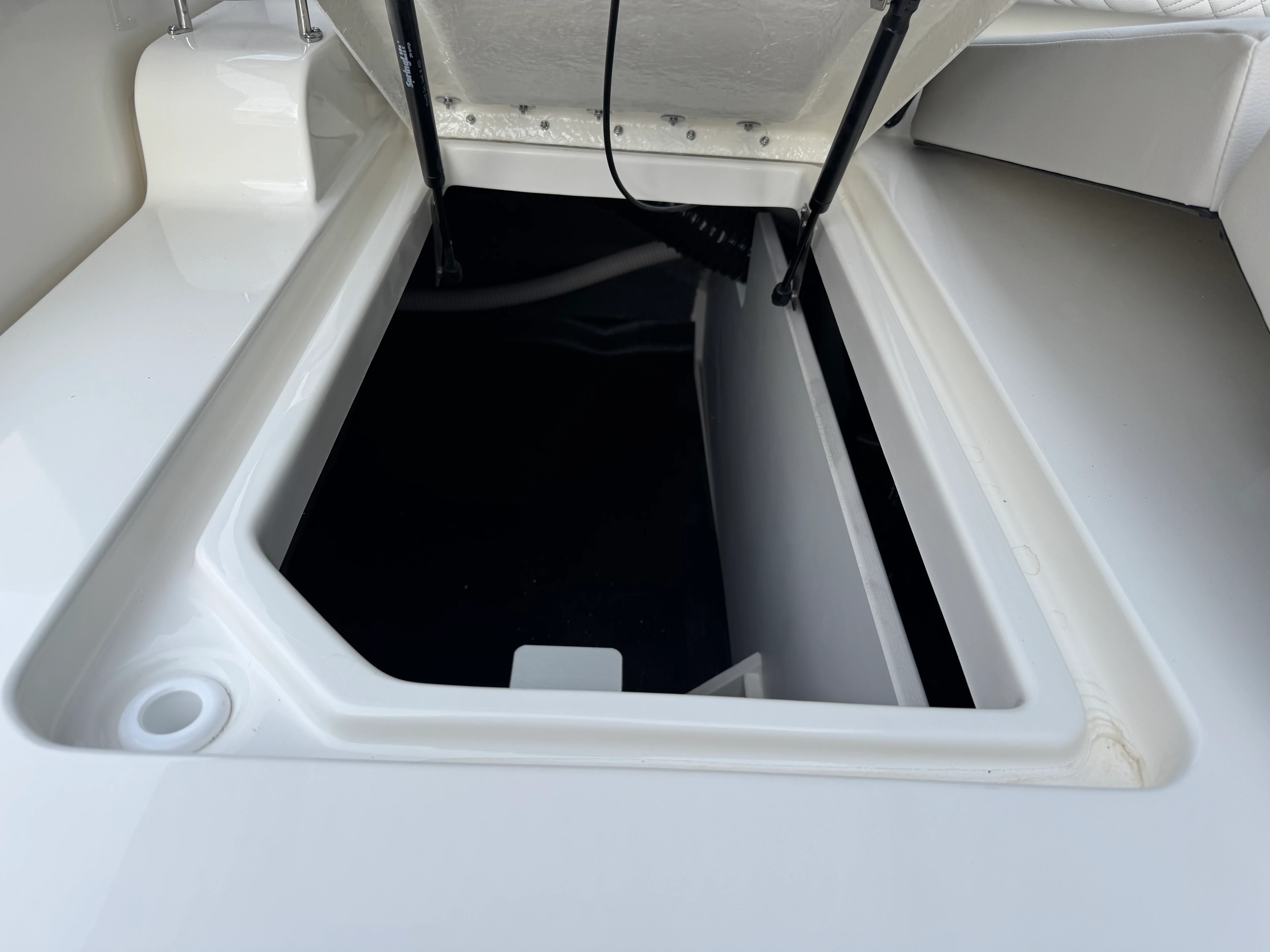 2026 Sea Ray SDX 290 Image Thumbnail #28