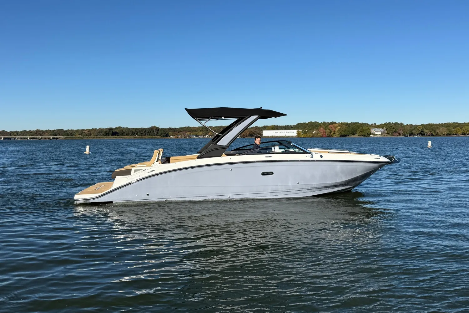 2026 Sea Ray SDX 290 Image Thumbnail #6