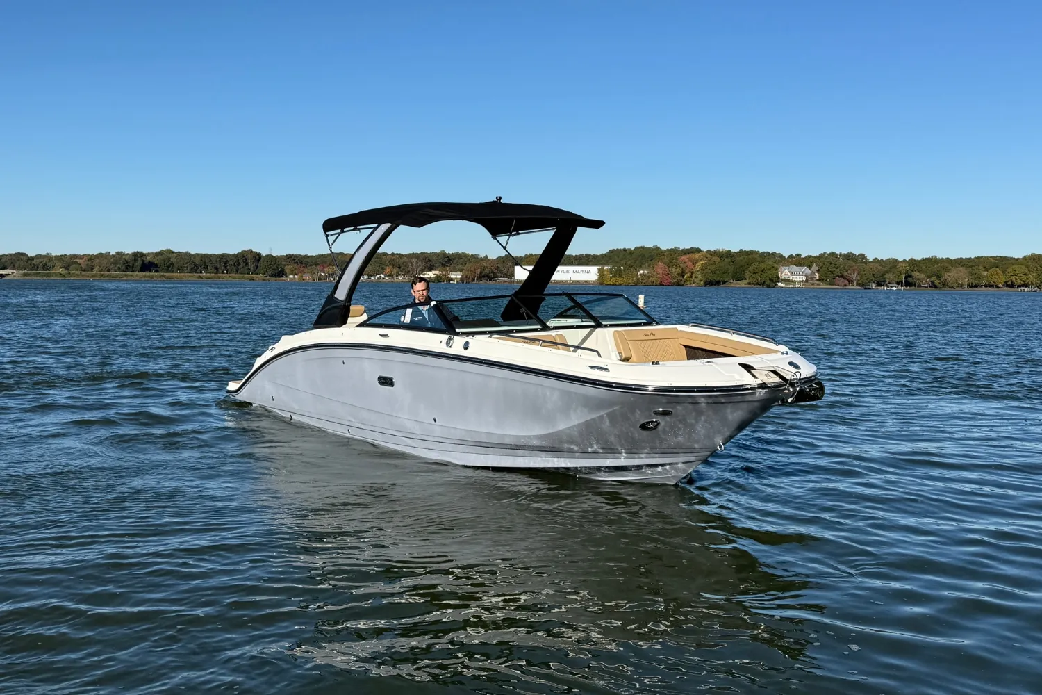 2026 Sea Ray SDX 290 Image Thumbnail #8