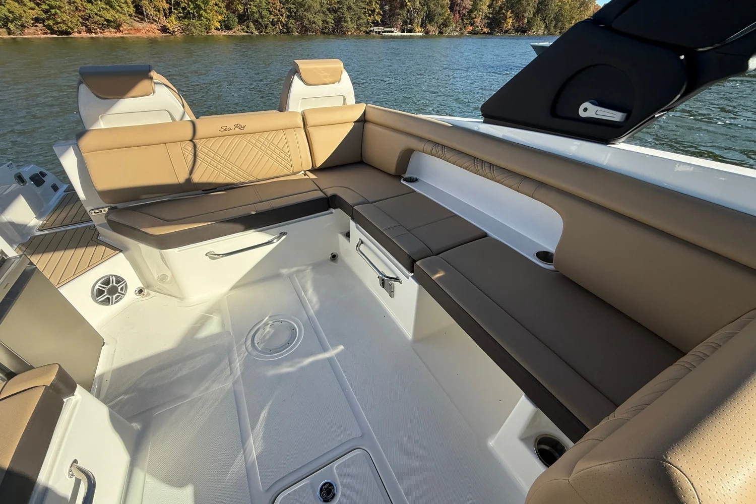 2026 Sea Ray SDX 290 Image Thumbnail #14