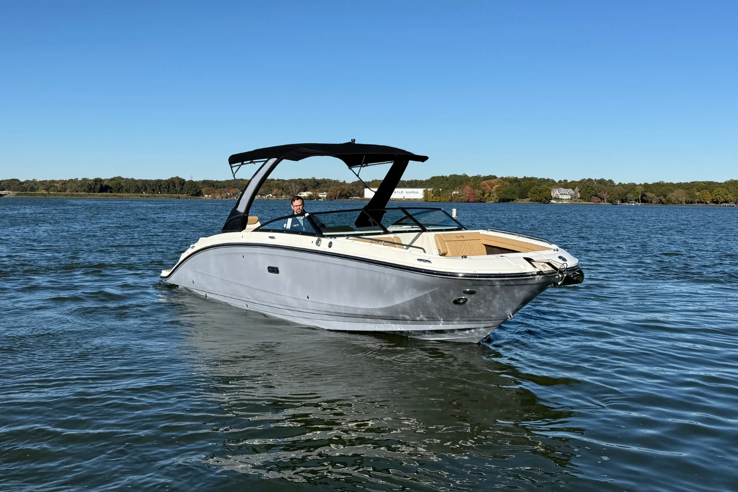 2026 Sea Ray SDX 290 Image Thumbnail #8