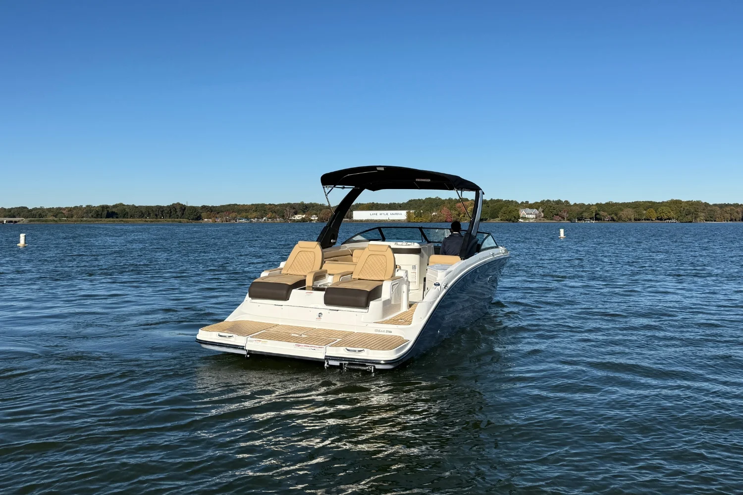 2026 Sea Ray SDX 290 Image Thumbnail #4