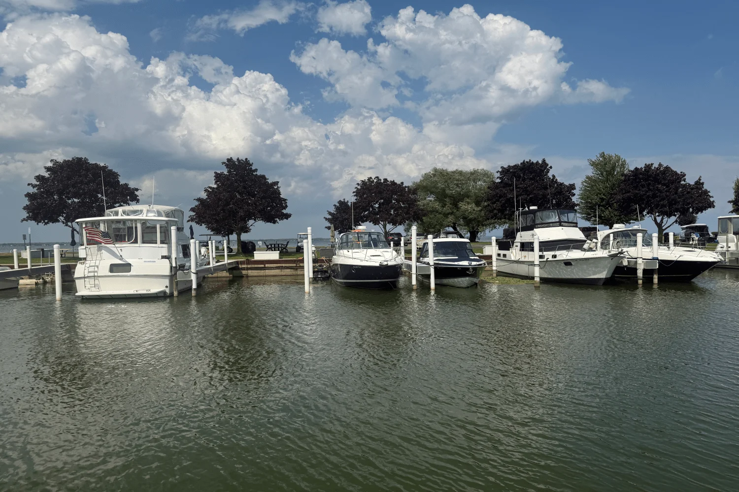 2015 Rinker 360 EXPRESS Image Thumbnail #3