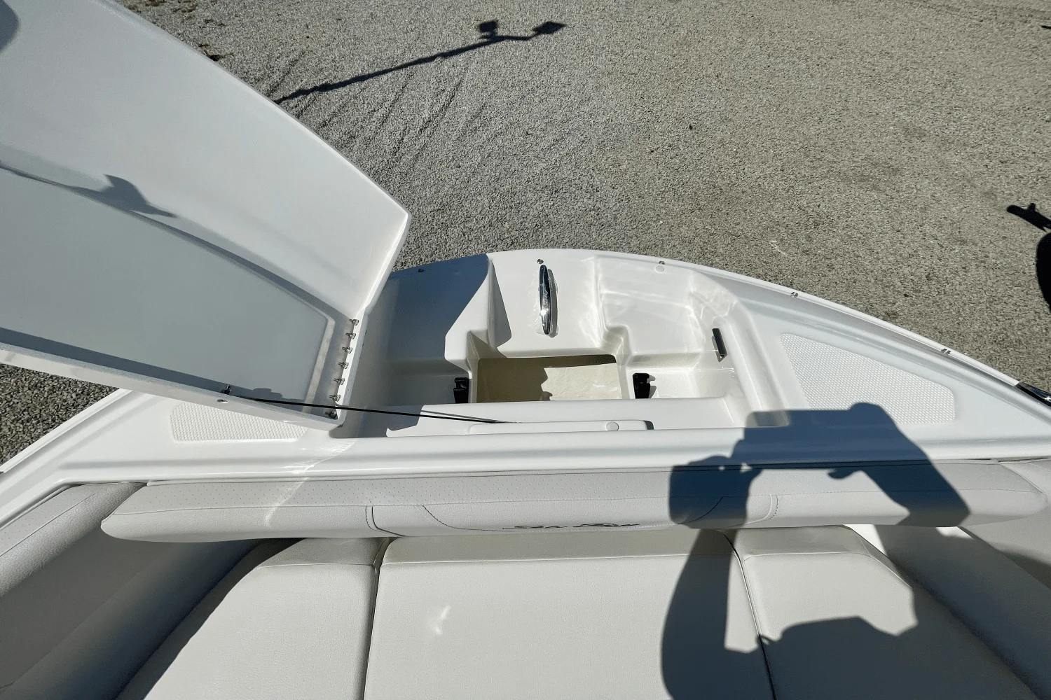 2026 Sea Ray SDX 250 Outboard Image Thumbnail #17