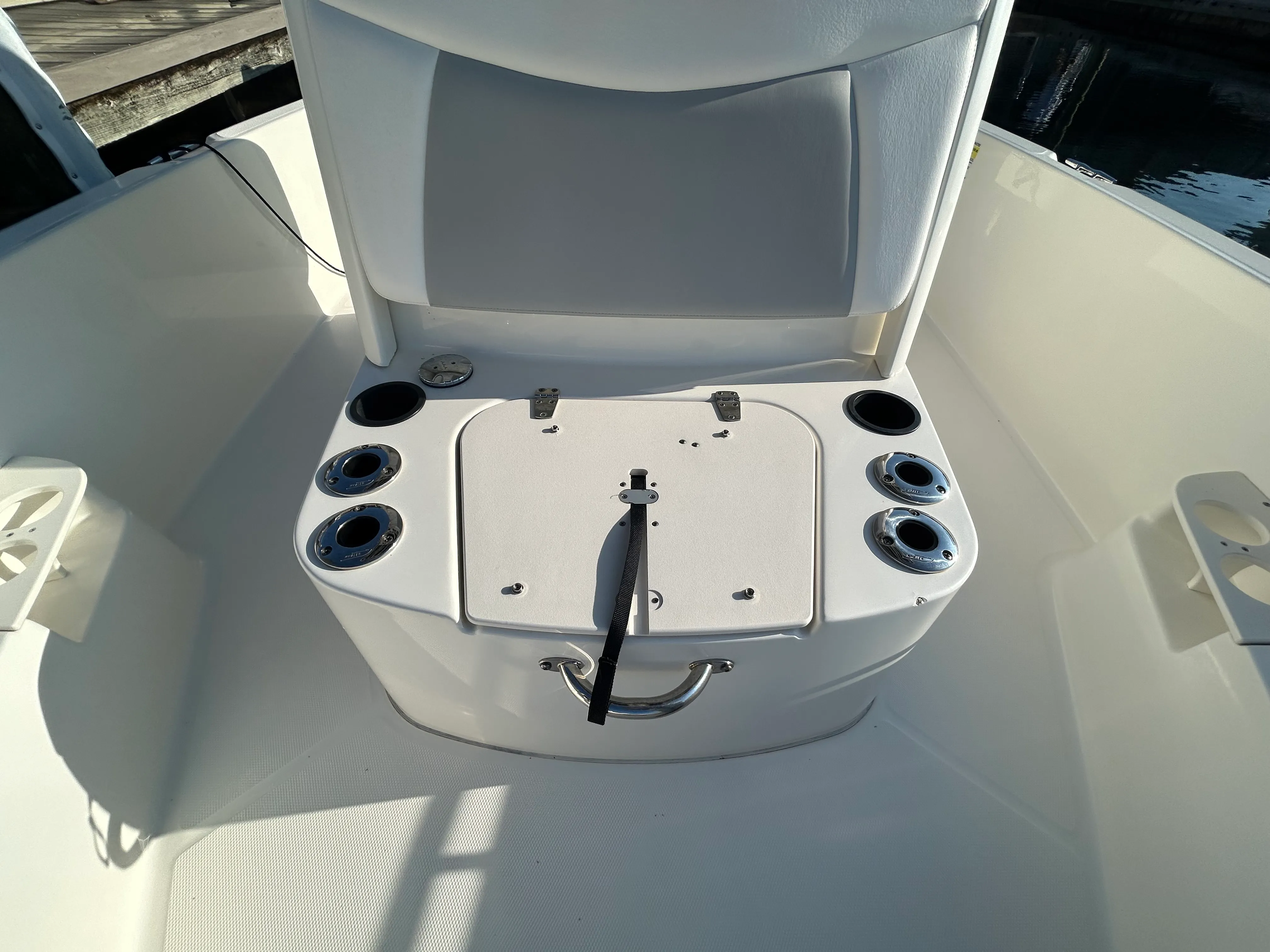 2016 Boston Whaler 210 DAUNTLESS Image Thumbnail #11