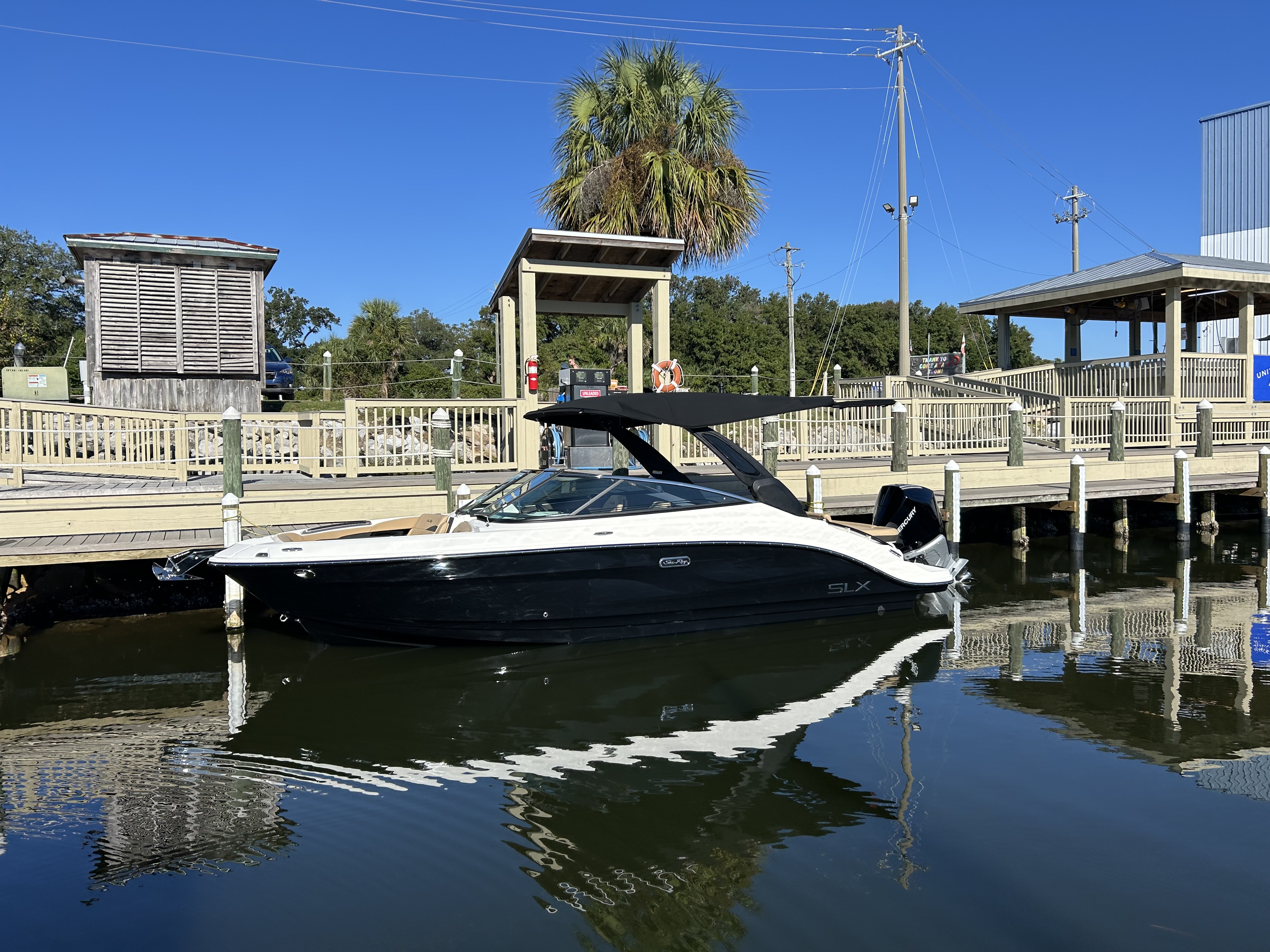 2026 Sea Ray SLX 260 Outboard Image Thumbnail #5