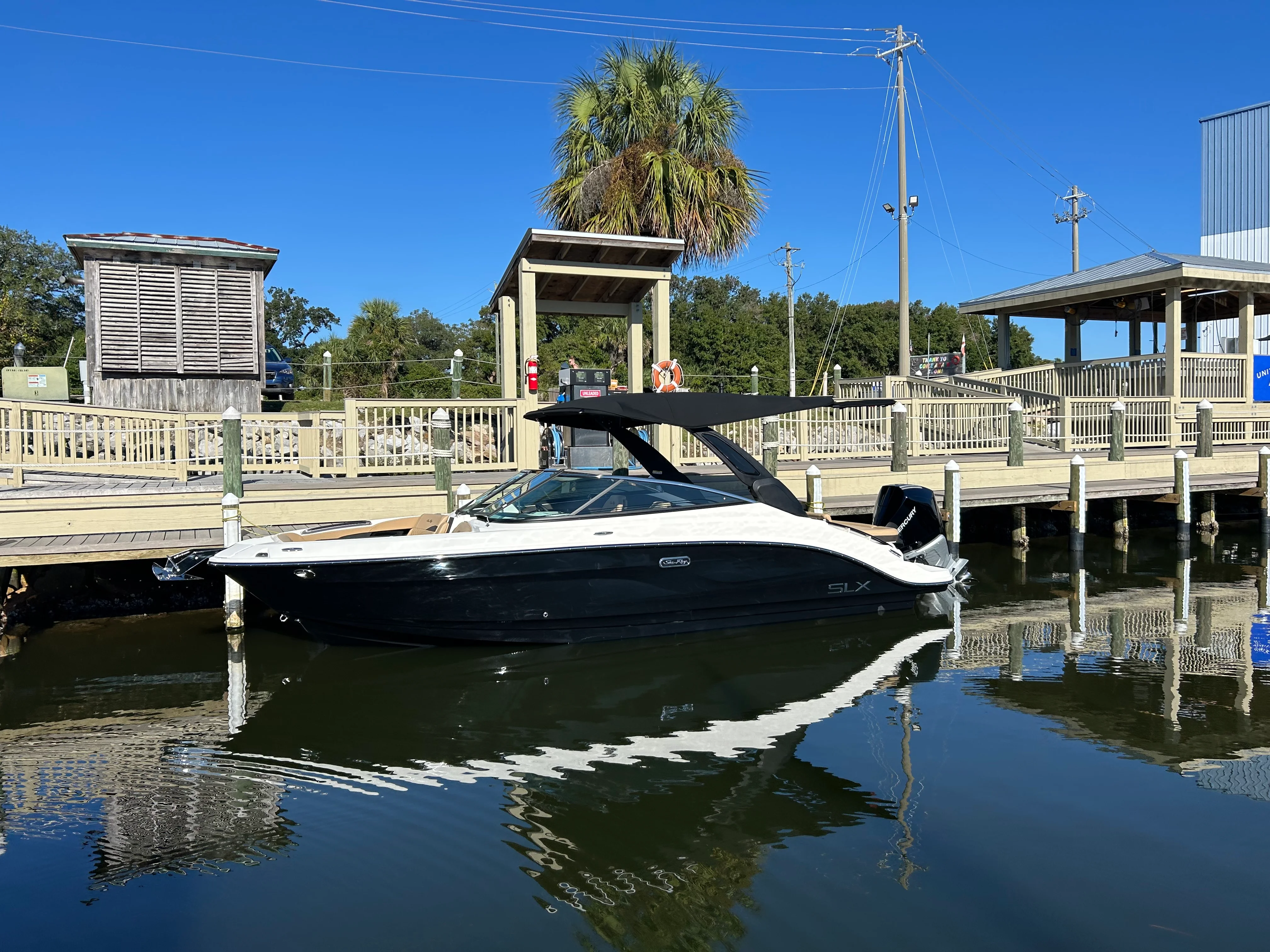 2026 Sea Ray SLX 260 Outboard Image Thumbnail #5