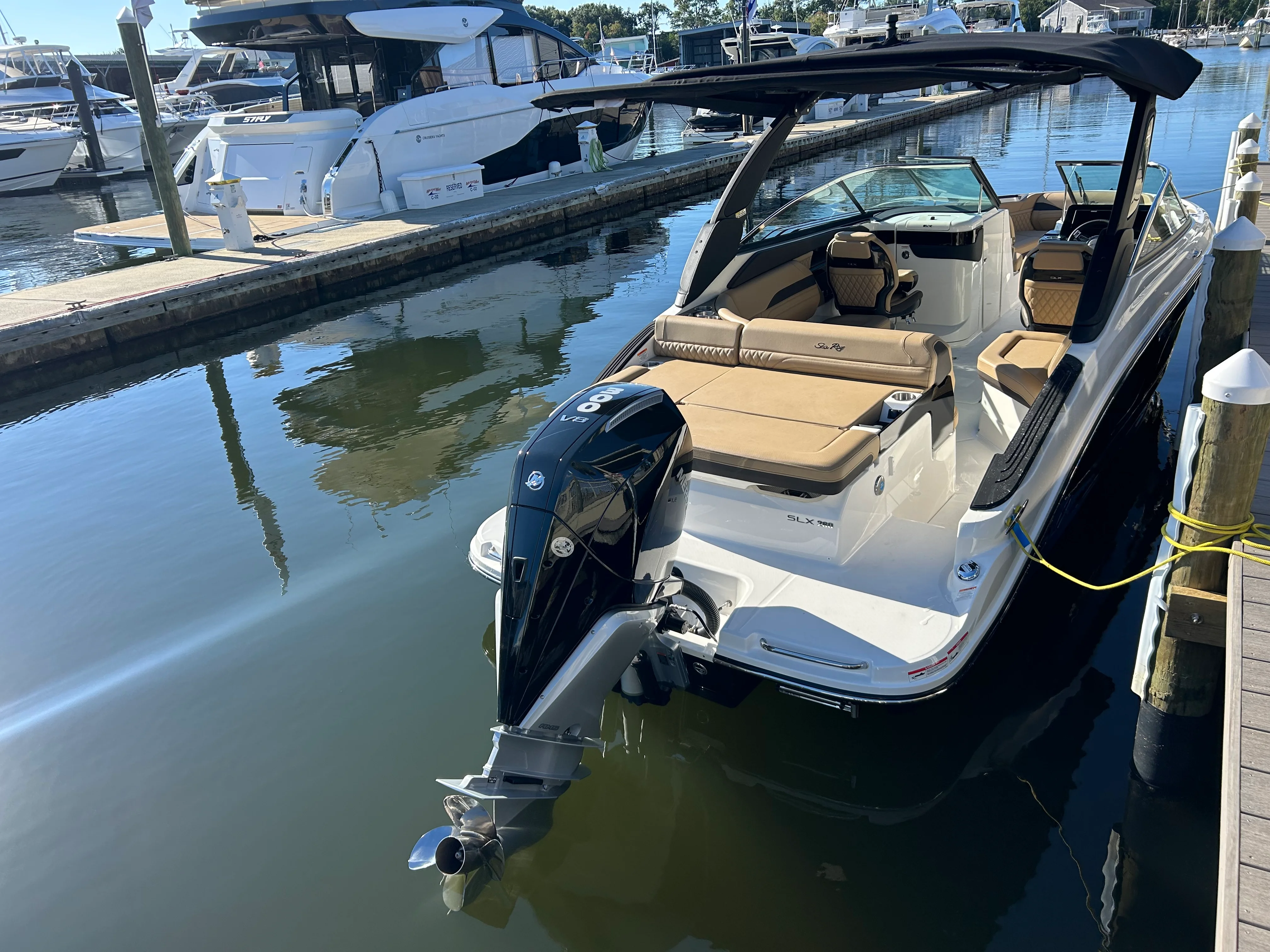 2026 Sea Ray SLX 260 Outboard Image Thumbnail #6