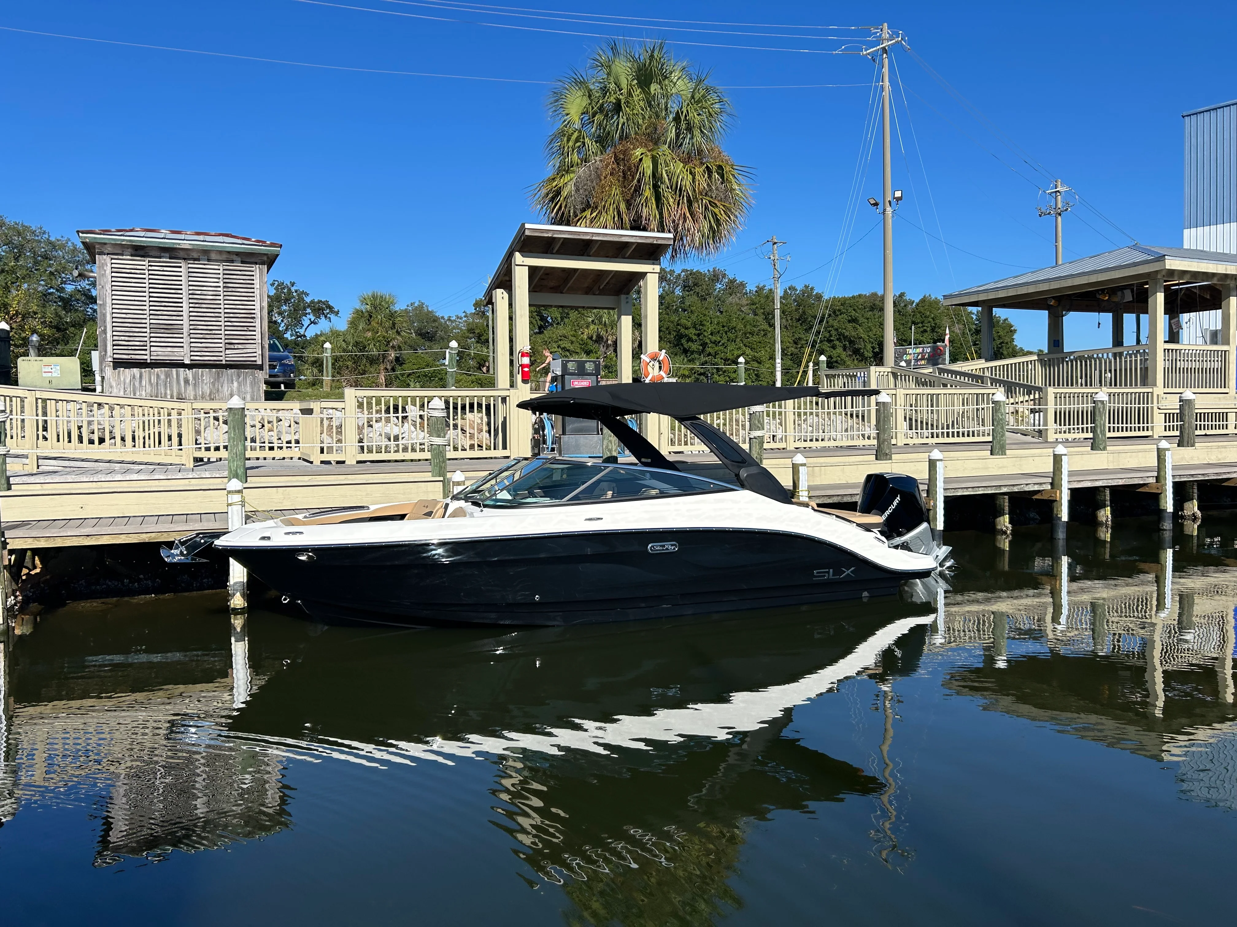 2026 Sea Ray SLX 260 Outboard Image Thumbnail #4