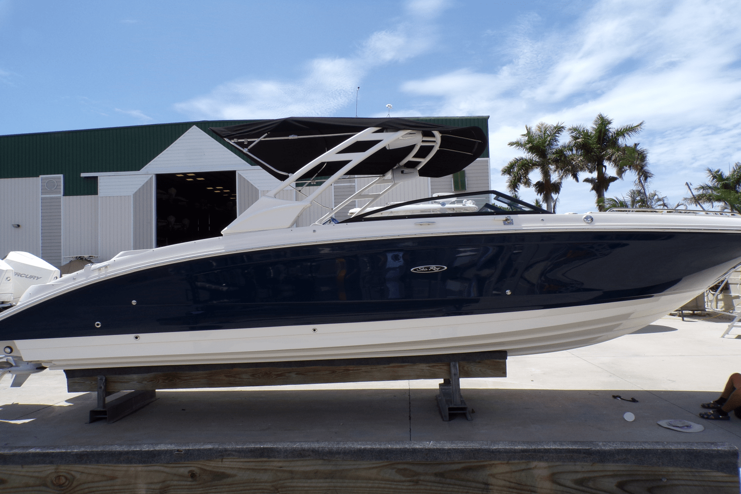 2023 Sea Ray 290 SDX-OB Image Thumbnail #2