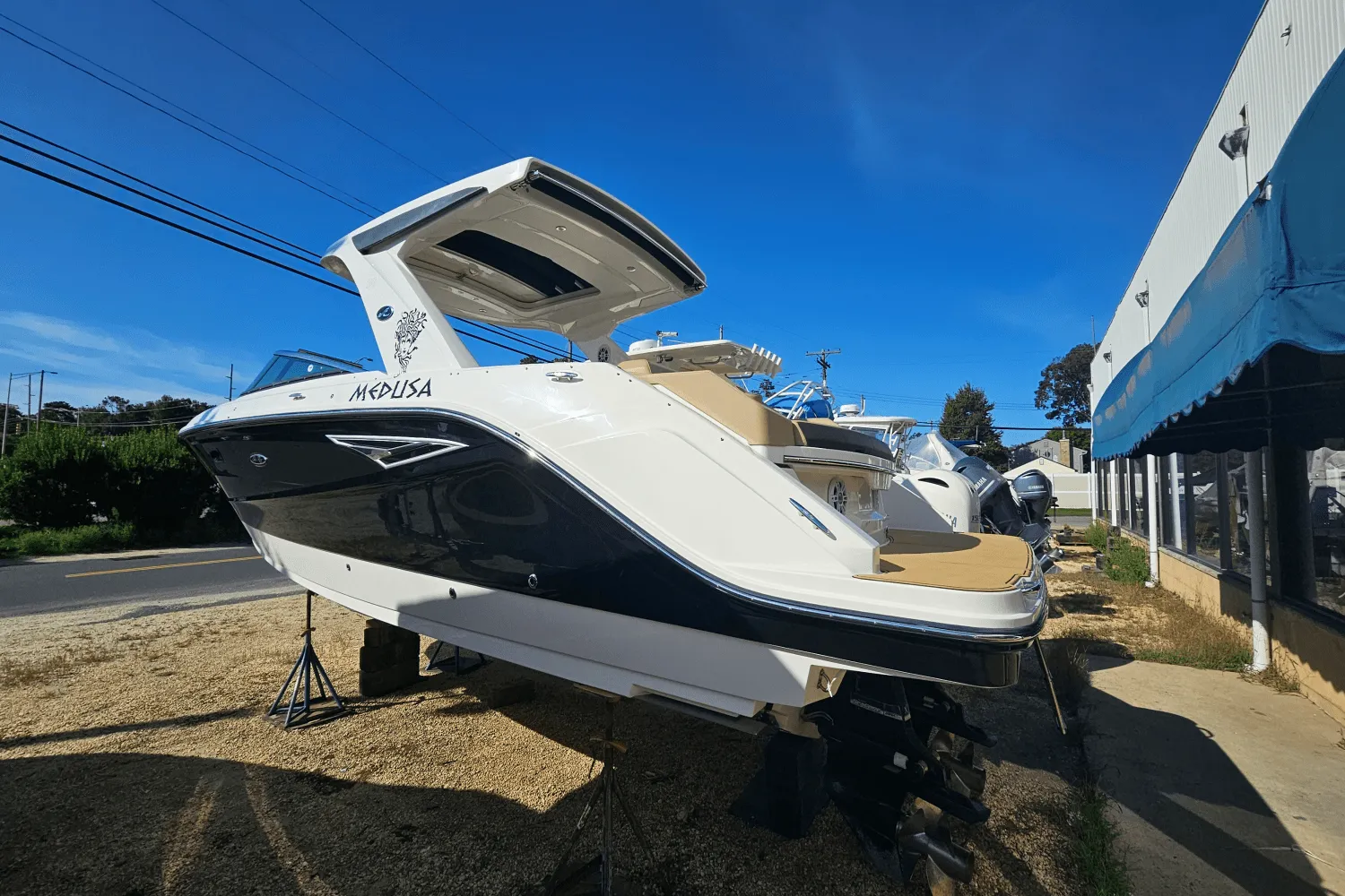 2019 Sea Ray 310 SLX Image Thumbnail #3