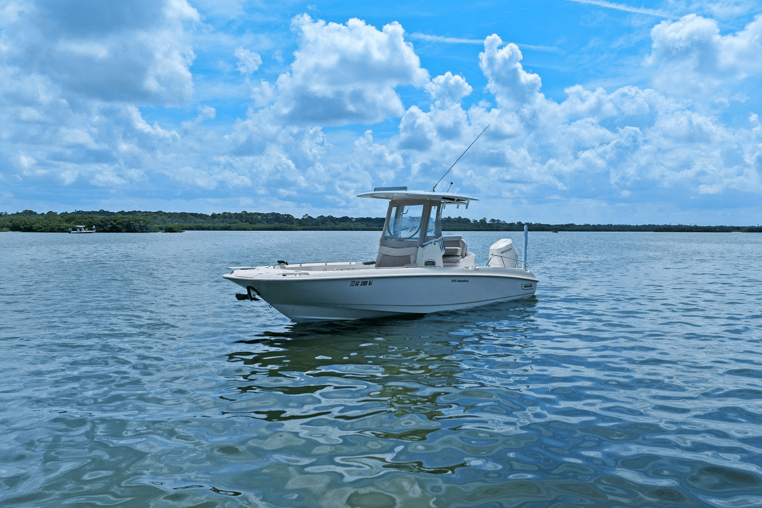 2018 Boston Whaler 270 DAUNTLESS Image Thumbnail #1