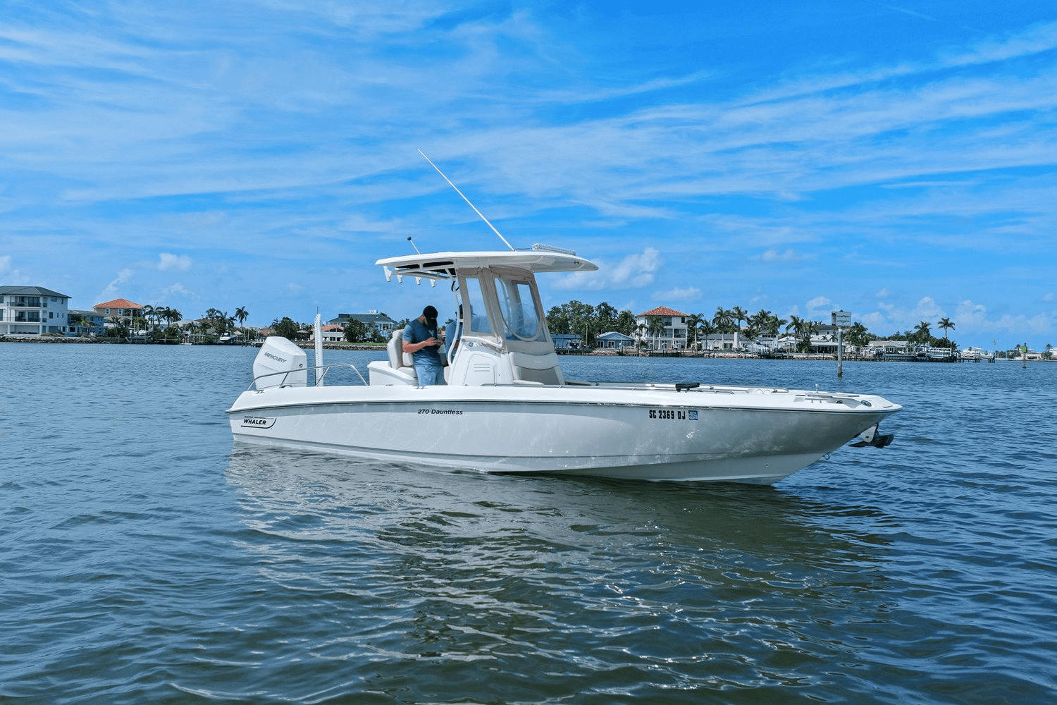 2018 Boston Whaler 270 DAUNTLESS Image Thumbnail #3