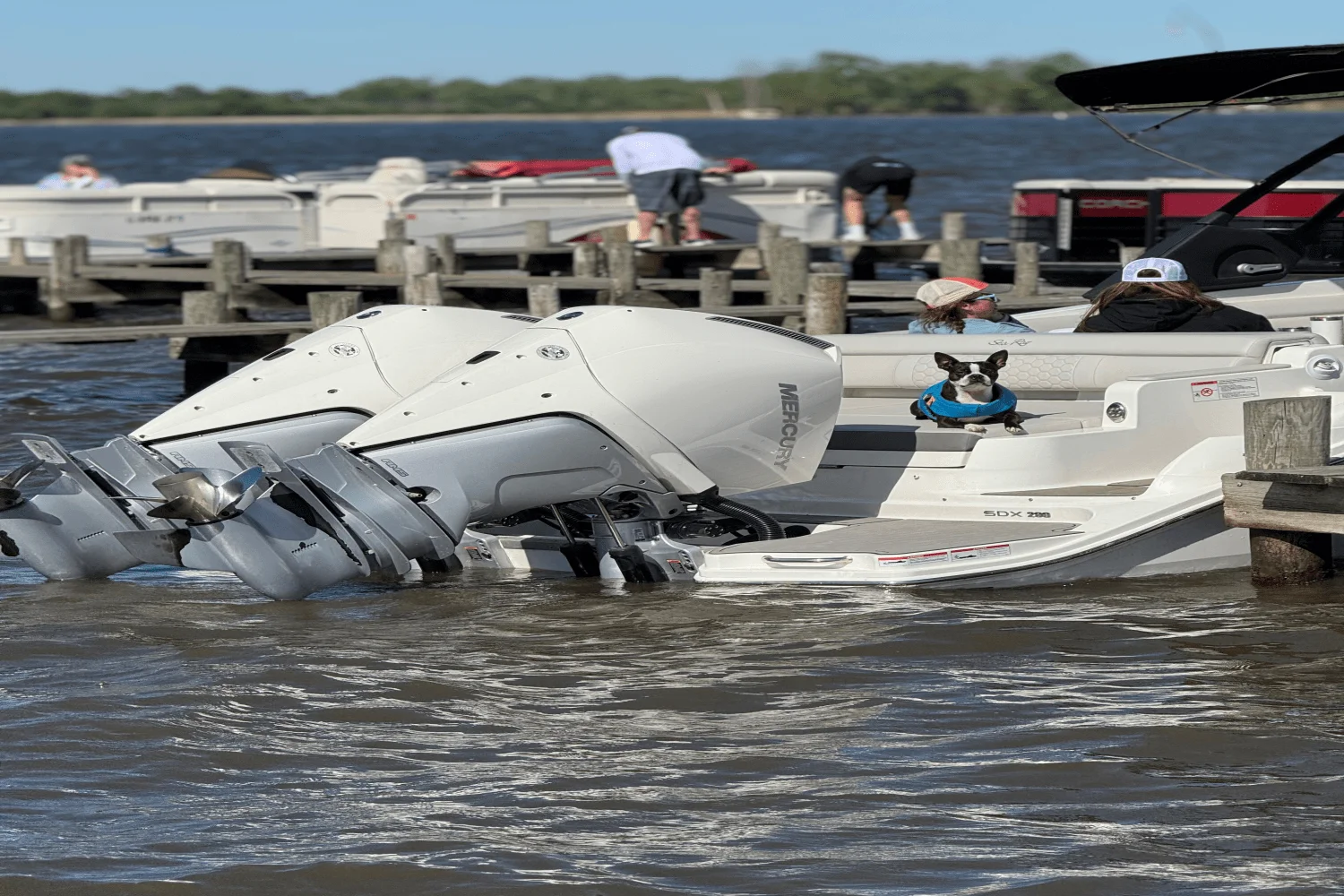 2023 Sea Ray 290 SDX OB Image Thumbnail #22