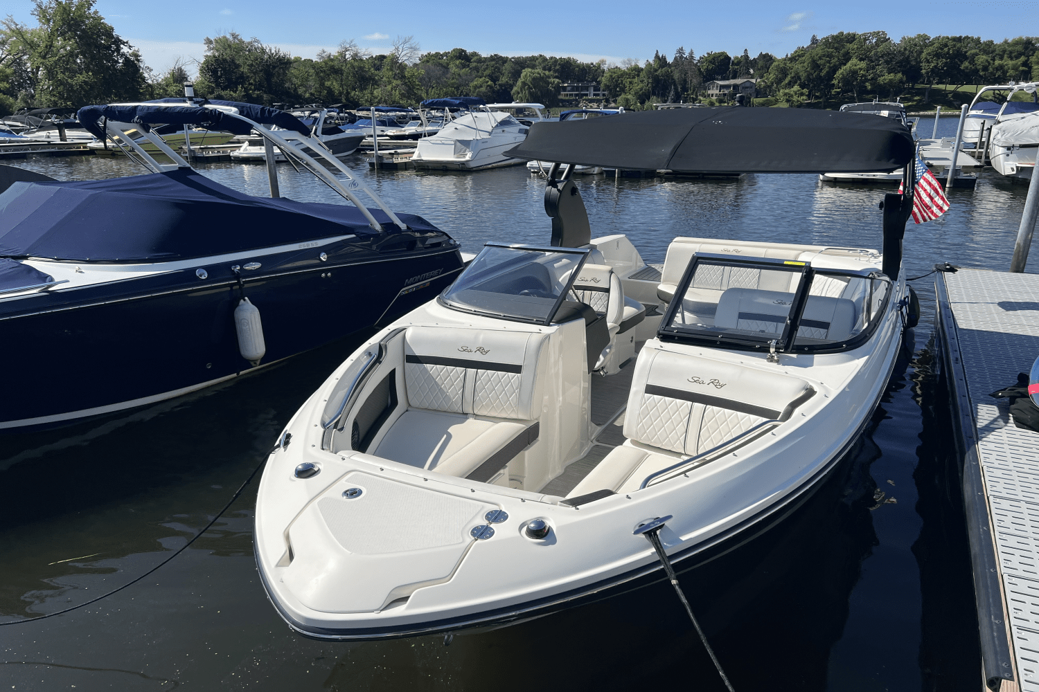 2018 Sea Ray 230 SLX Image Thumbnail #2
