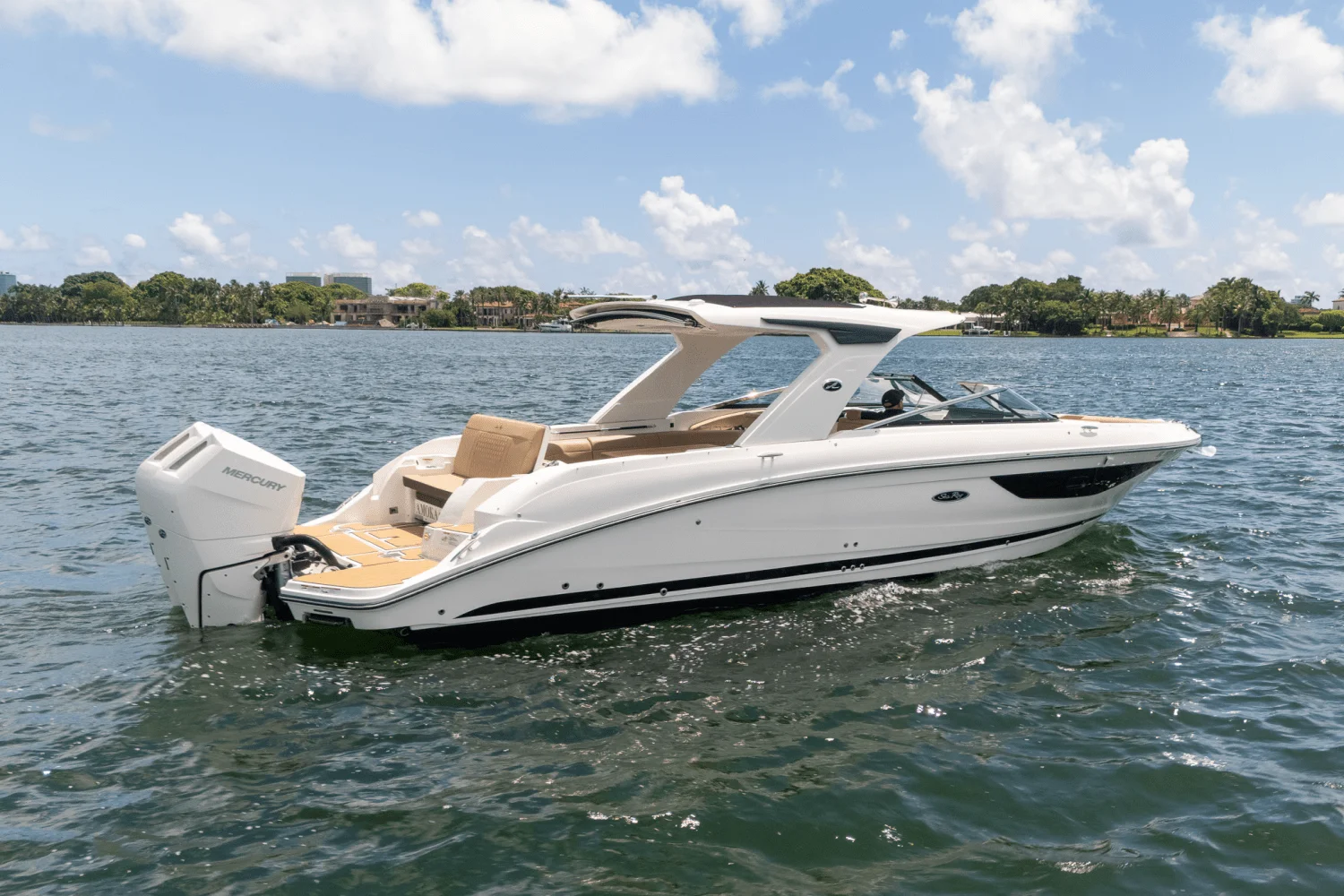 2024 Sea Ray 350 SLX Image Thumbnail #17