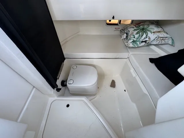 2019 Sea Ray 250 SDX-OB Image Thumbnail #27