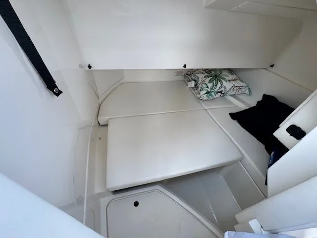 2019 Sea Ray 250 SDX-OB Image Thumbnail #30