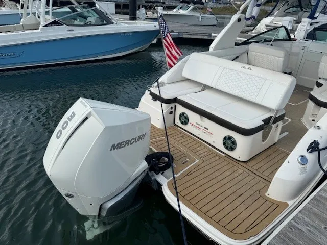 2019 Sea Ray 250 SDX-OB Image Thumbnail #8
