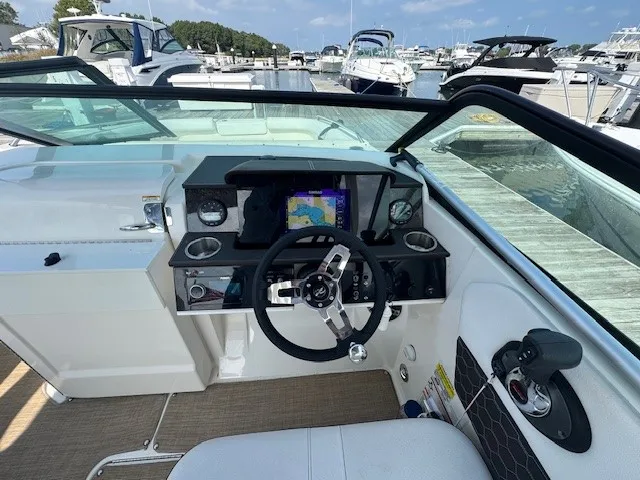 2019 Sea Ray 250 SDX-OB Image Thumbnail #12