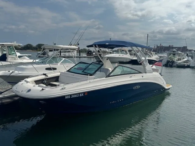 2019 Sea Ray 250 SDX-OB Image Thumbnail #0
