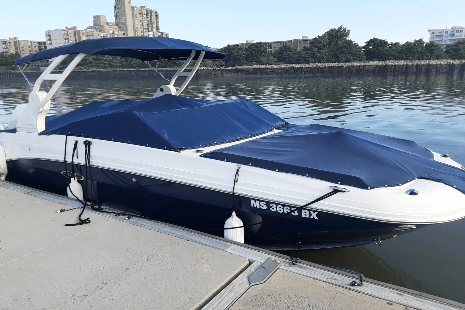 2019 Sea Ray 250 SDX-OB Image Thumbnail #5