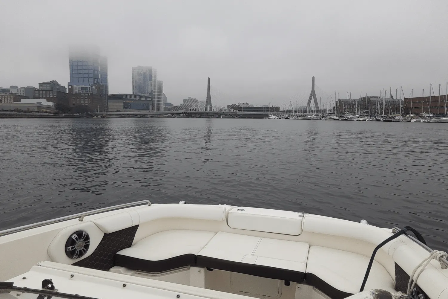 2019 Sea Ray 250 SDX-OB Image Thumbnail #10
