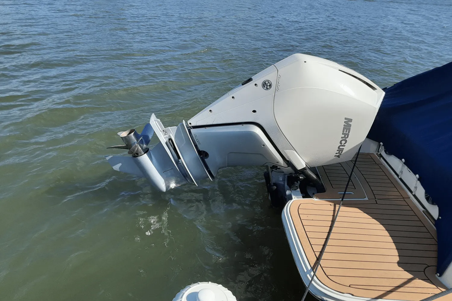 2019 Sea Ray 250 SDX-OB Image Thumbnail #7