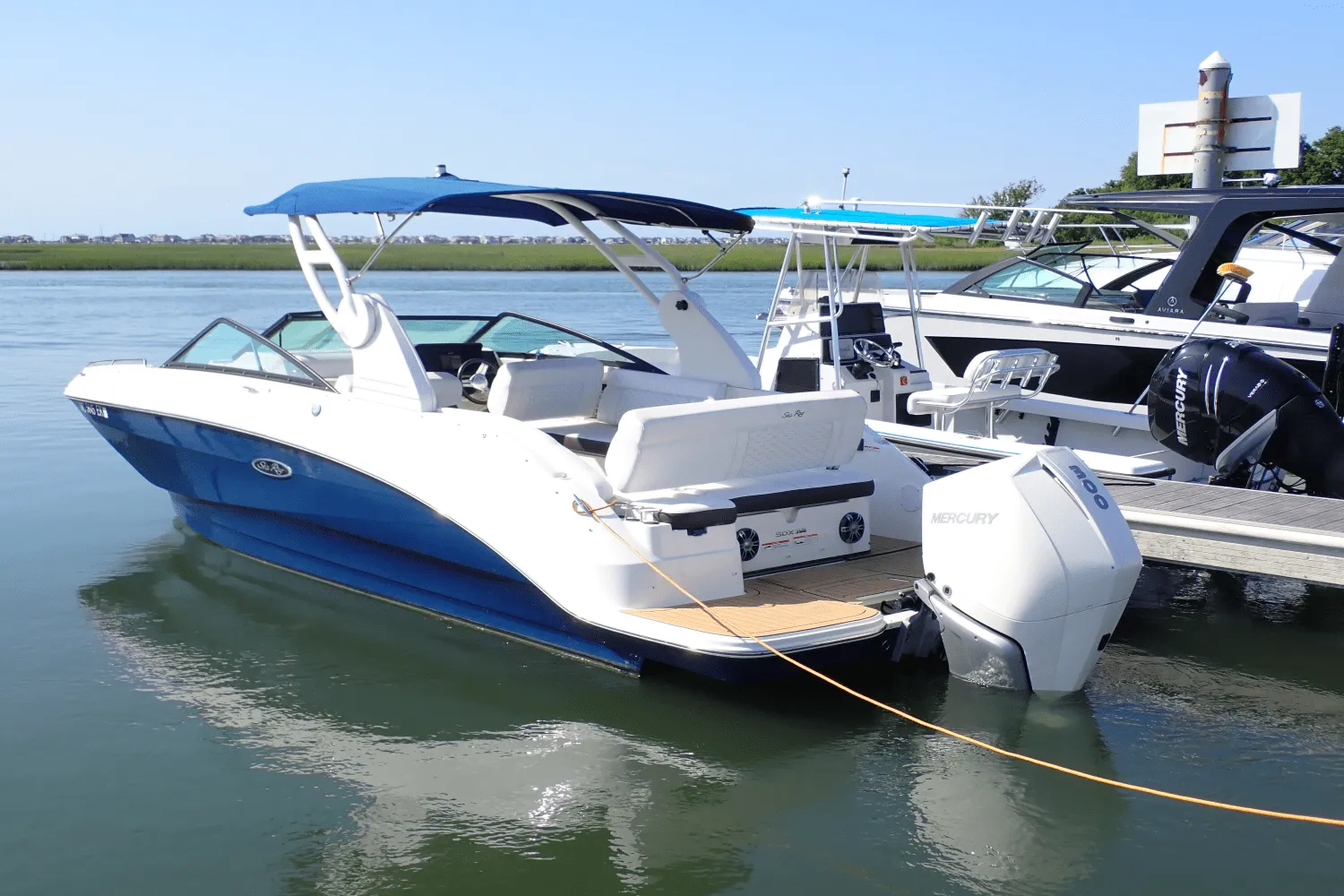 2019 Sea Ray 250 SDX-OB Image Thumbnail #3