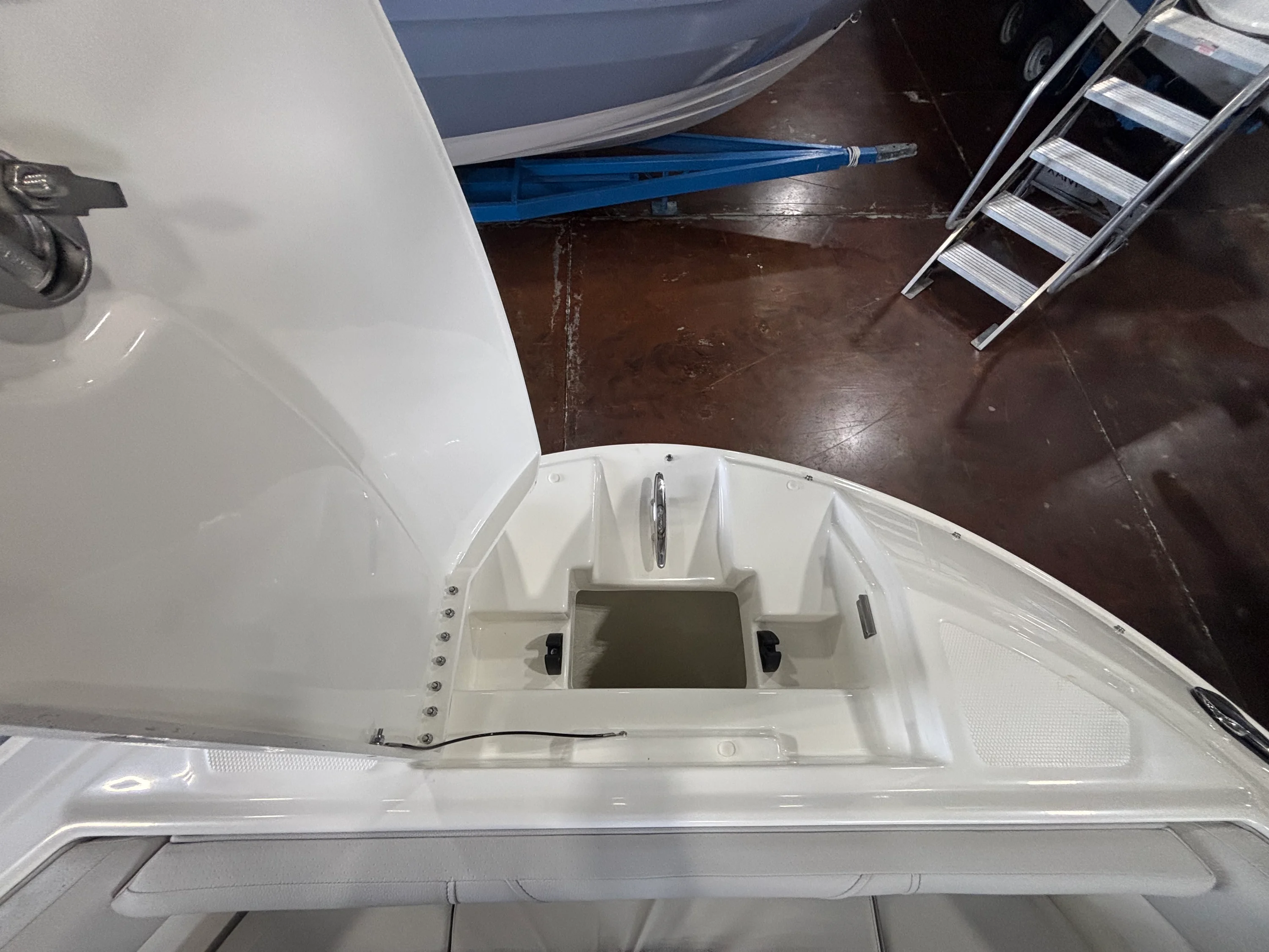 2026 Sea Ray SDX 250 Outboard Image Thumbnail #30