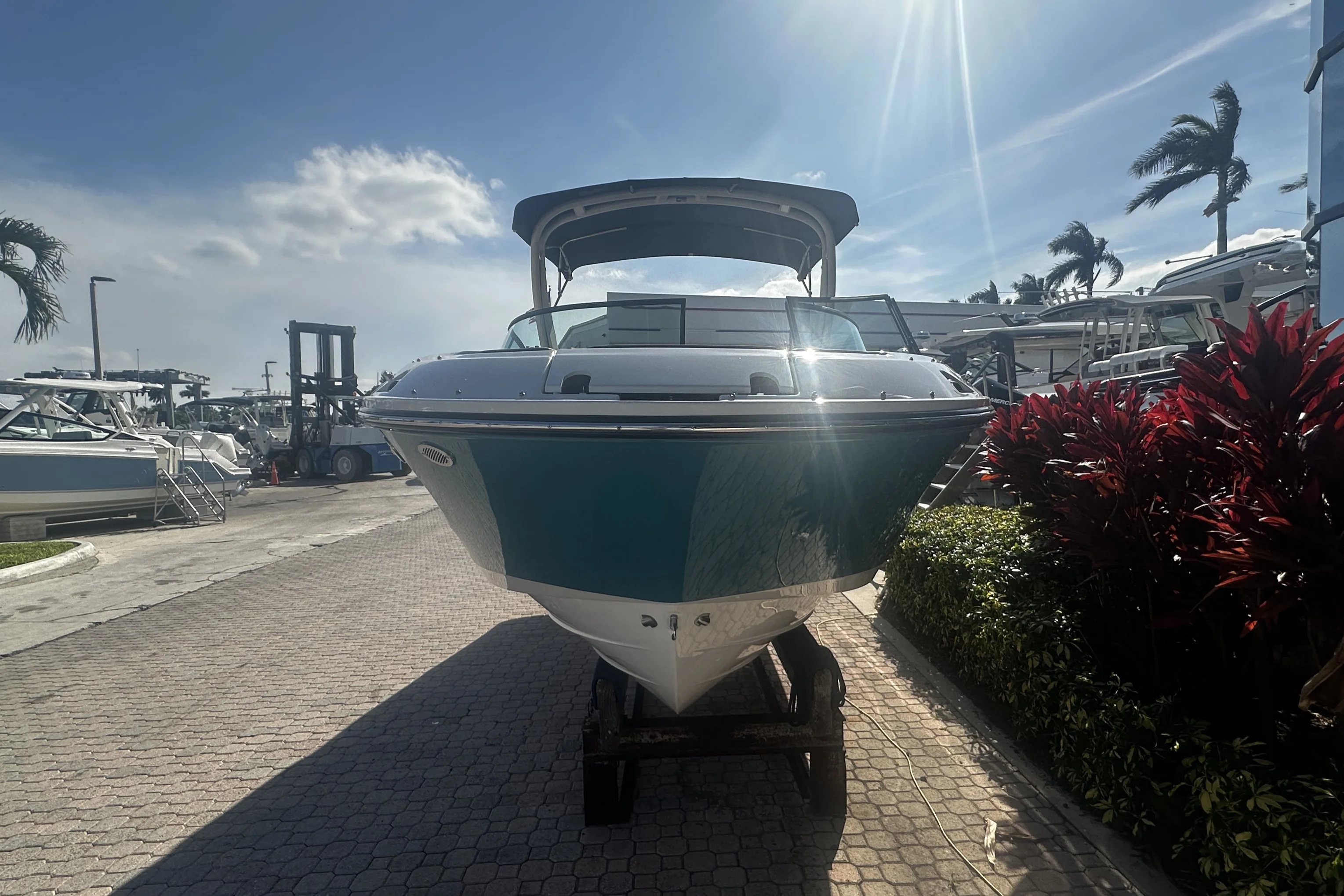 2026 Sea Ray SDX 230 Outboard Image Thumbnail #6