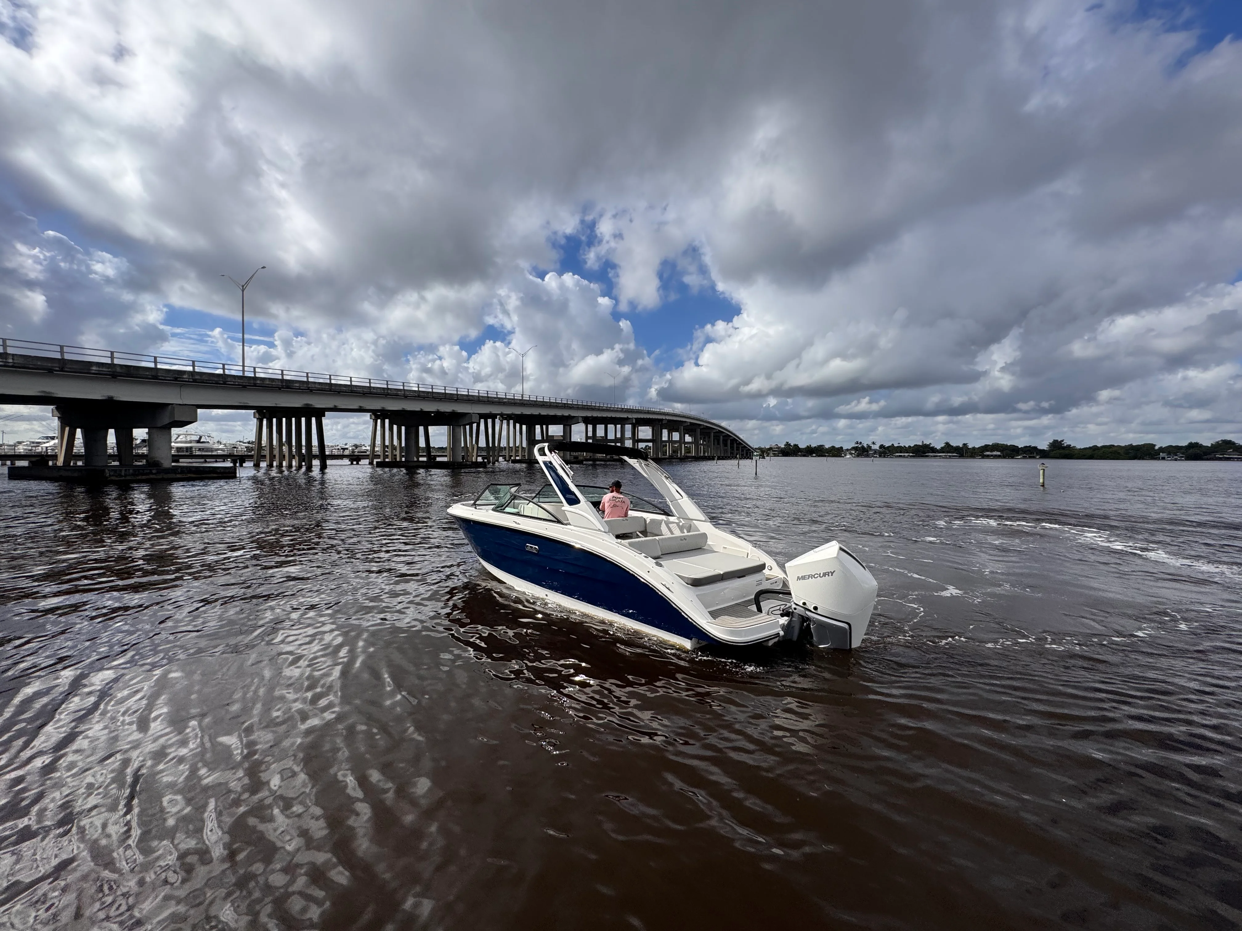 2026 Sea Ray SDX 250 Outboard Image Thumbnail #6