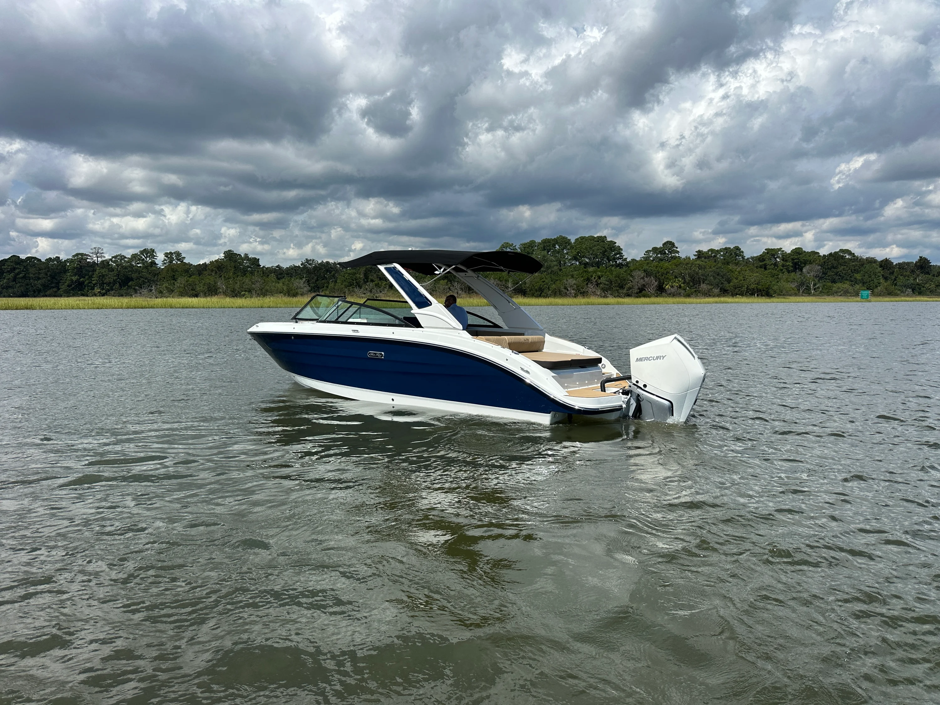 2026 Sea Ray SDX 250 Outboard Image Thumbnail #10