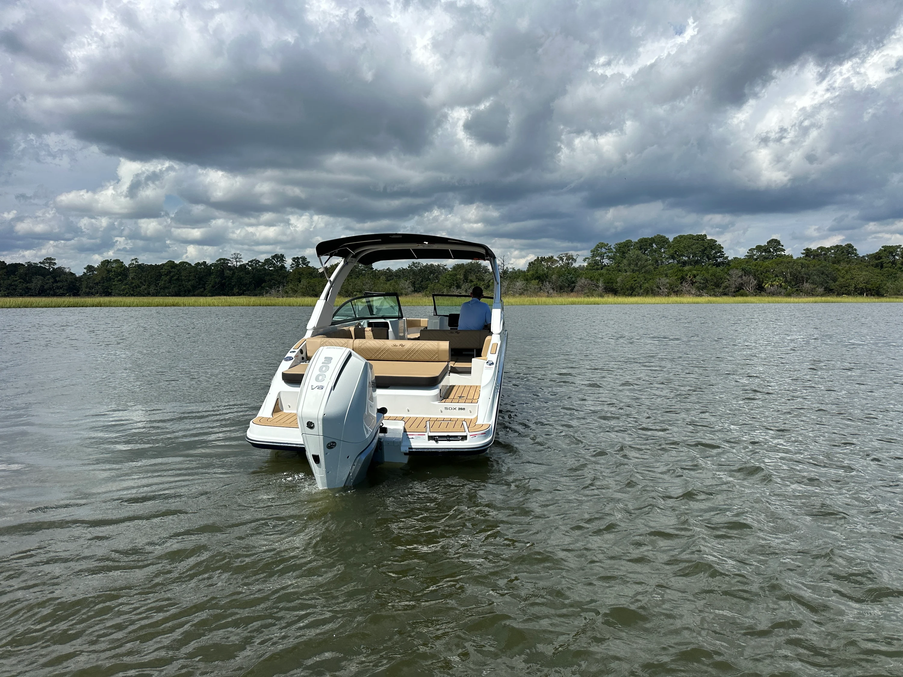 2026 Sea Ray SDX 250 Outboard Image Thumbnail #7