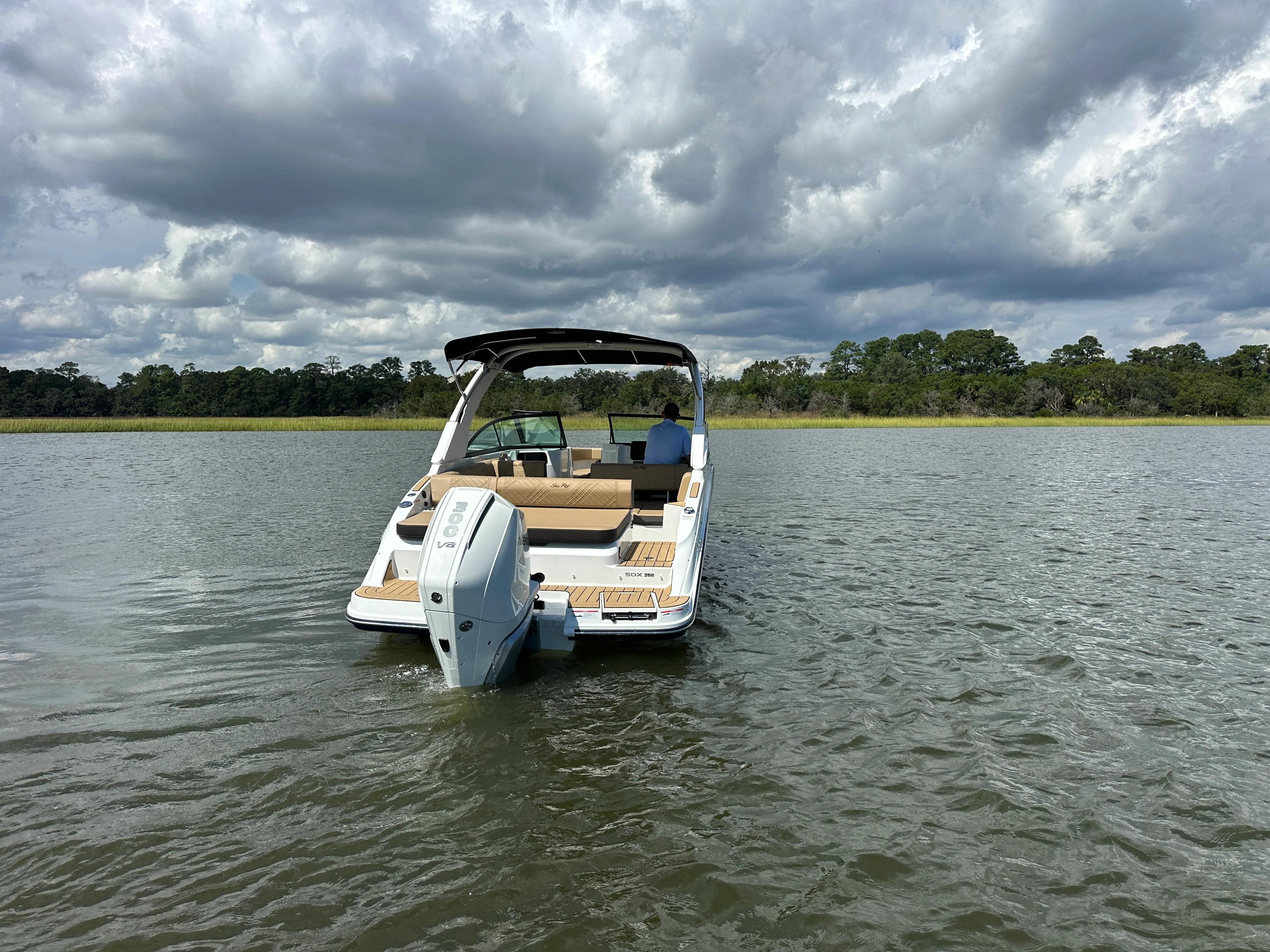 2026 Sea Ray SDX 250 Outboard Image Thumbnail #7