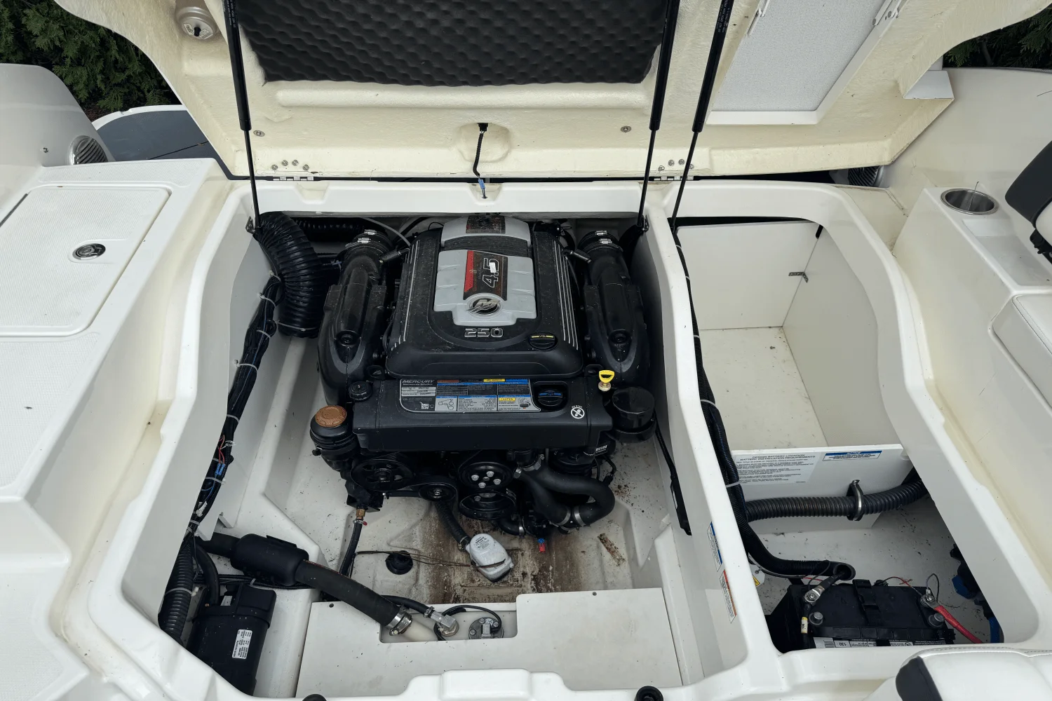 2020 Bayliner DX 2250 Image Thumbnail #16