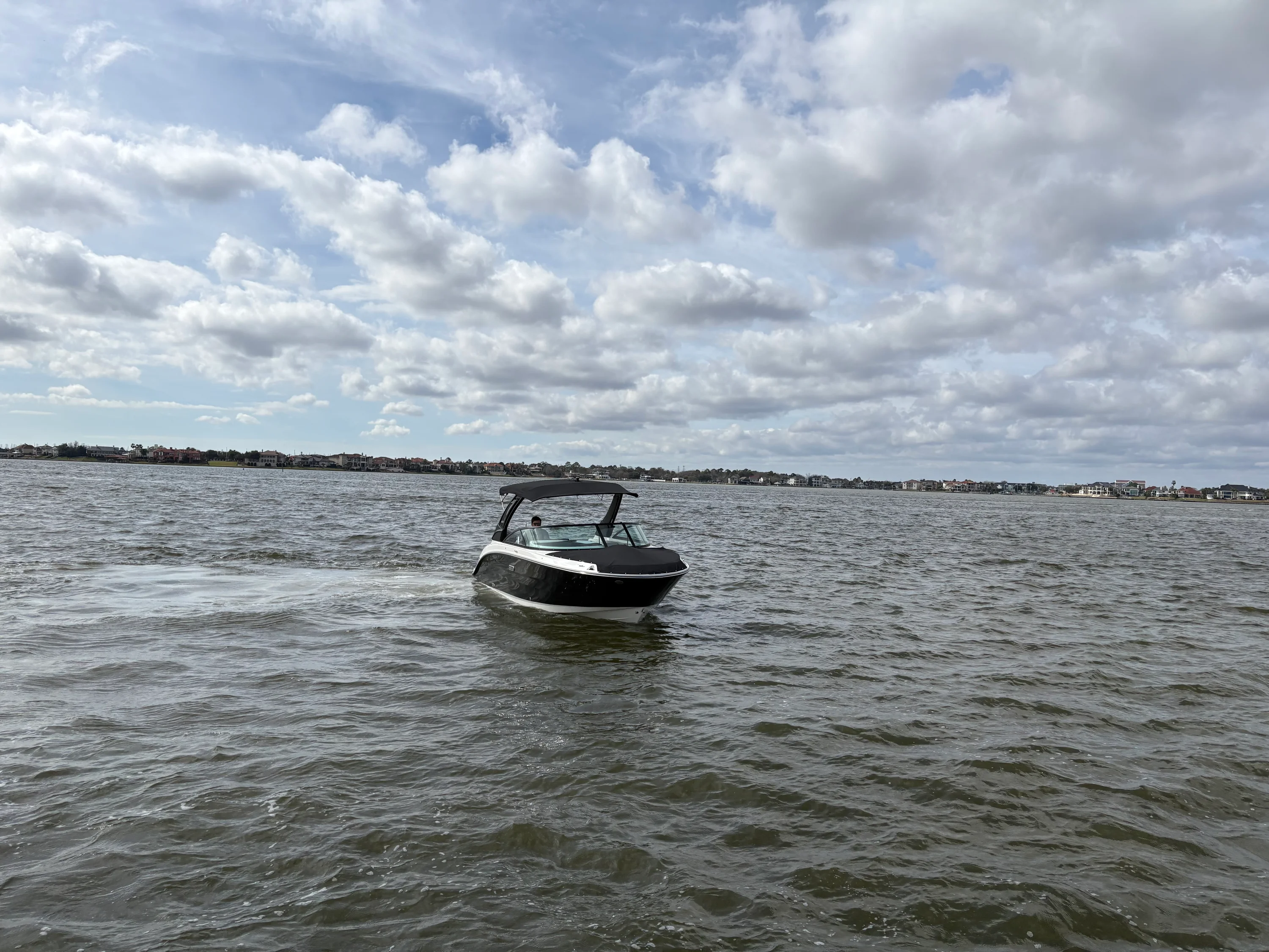 2026 Sea Ray SDX 250 Outboard Image Thumbnail #7