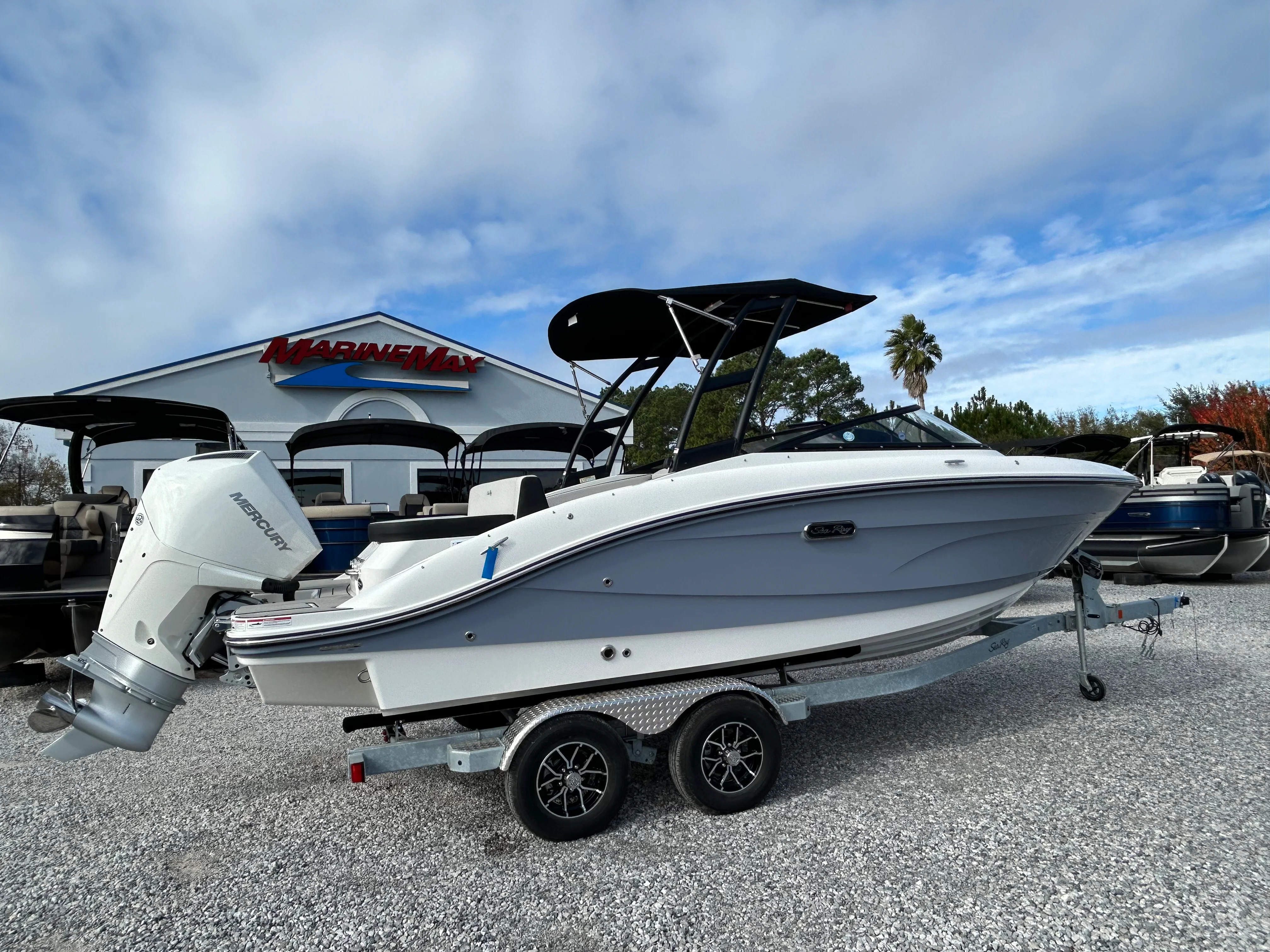 2026 Sea Ray SPX 210 Outboard Image Thumbnail #3