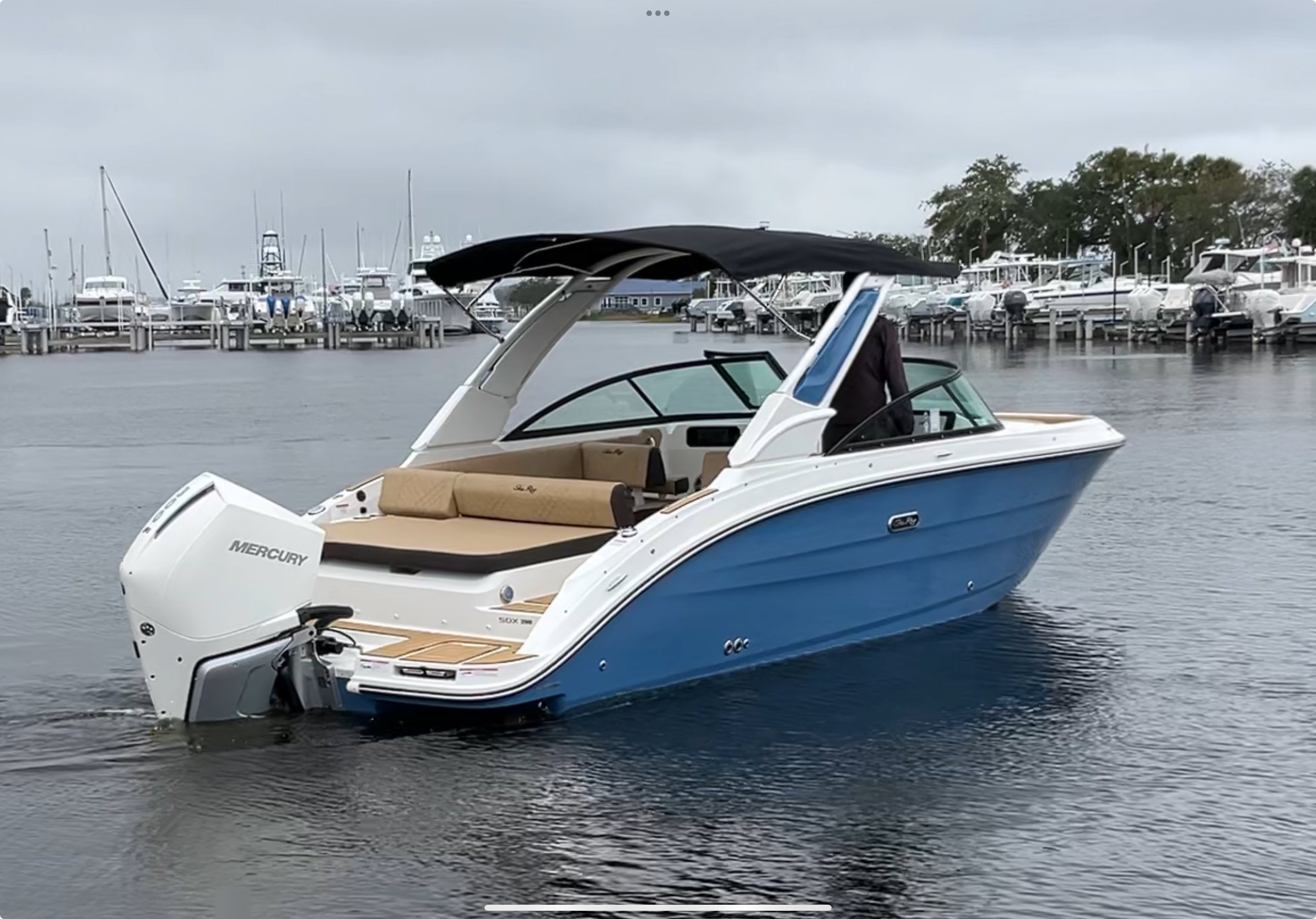 2026 Sea Ray SDX 250 Outboard Image Thumbnail #3