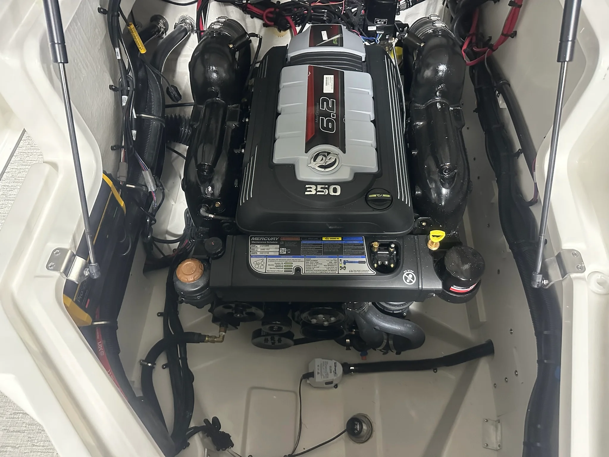 2026 Sea Ray SLX 260 Image Thumbnail #44