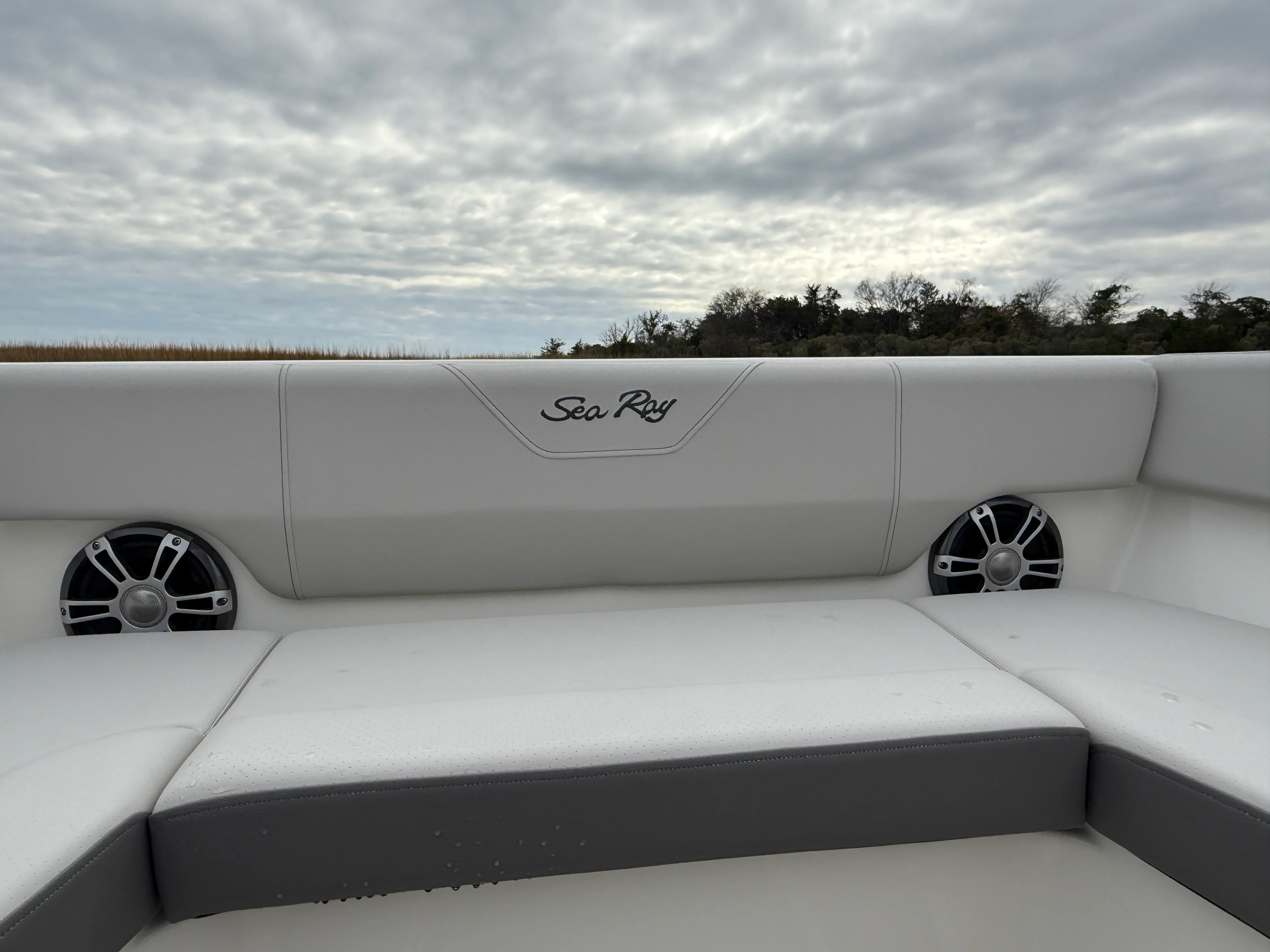 2026 Sea Ray SDX 270 Outboard Image Thumbnail #9