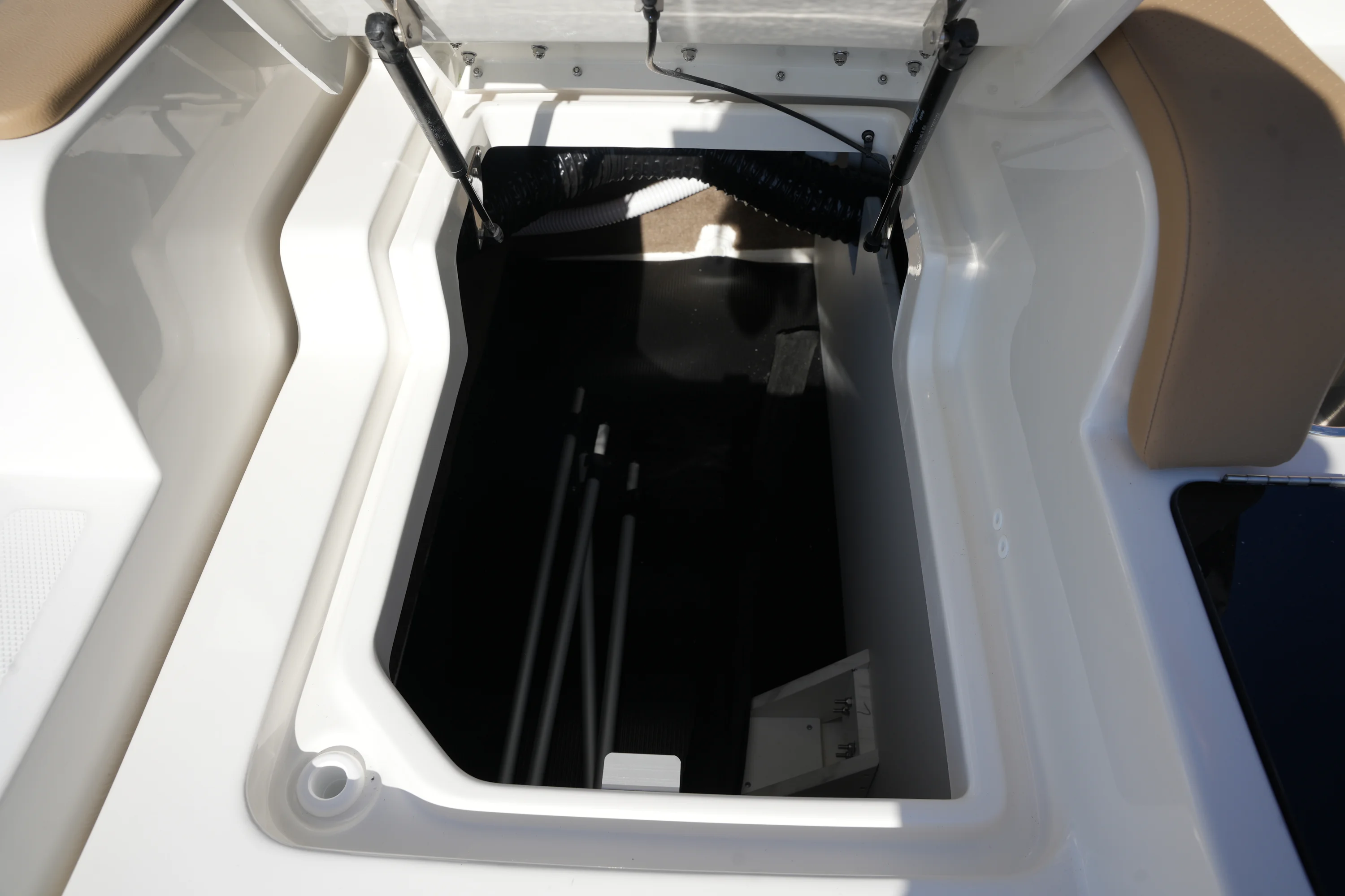 2026 Sea Ray SDX 290 Image Thumbnail #9