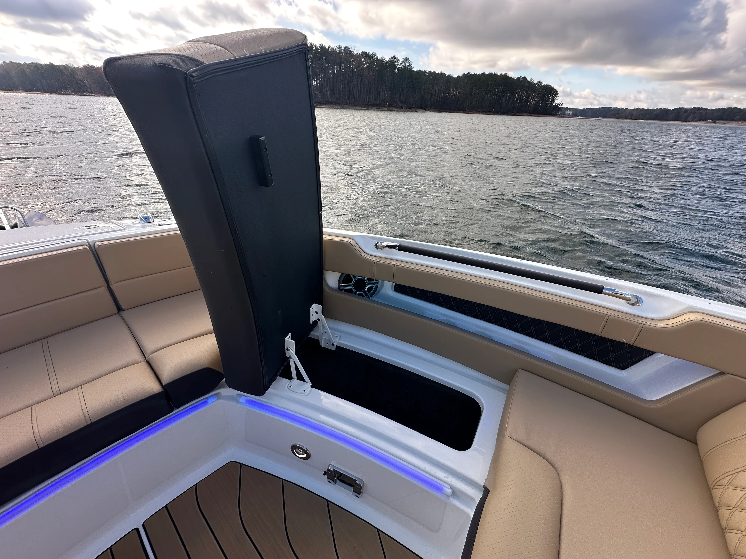 2026 Sea Ray SLX 310 Image Thumbnail #14