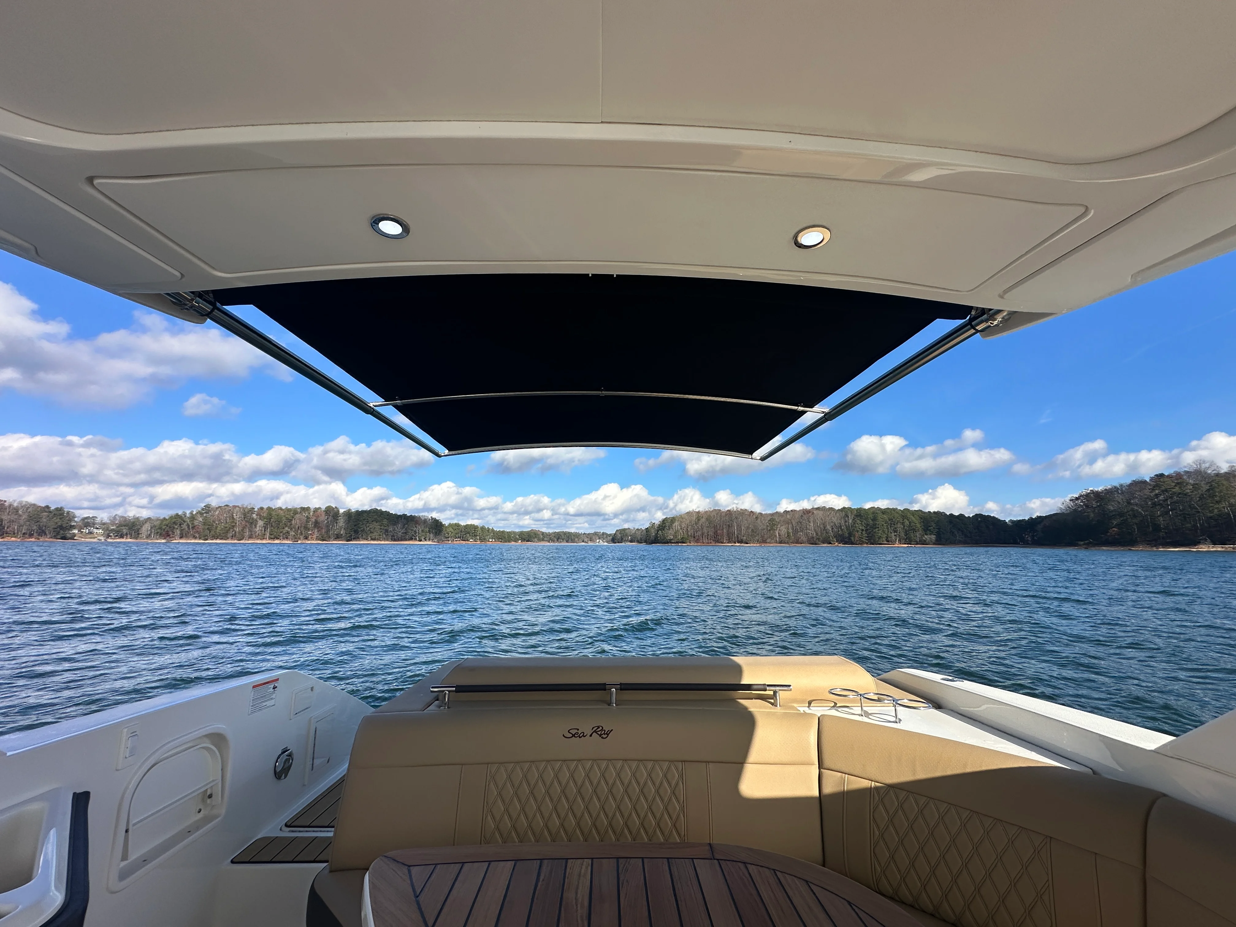 2026 Sea Ray SLX 310 Image Thumbnail #41