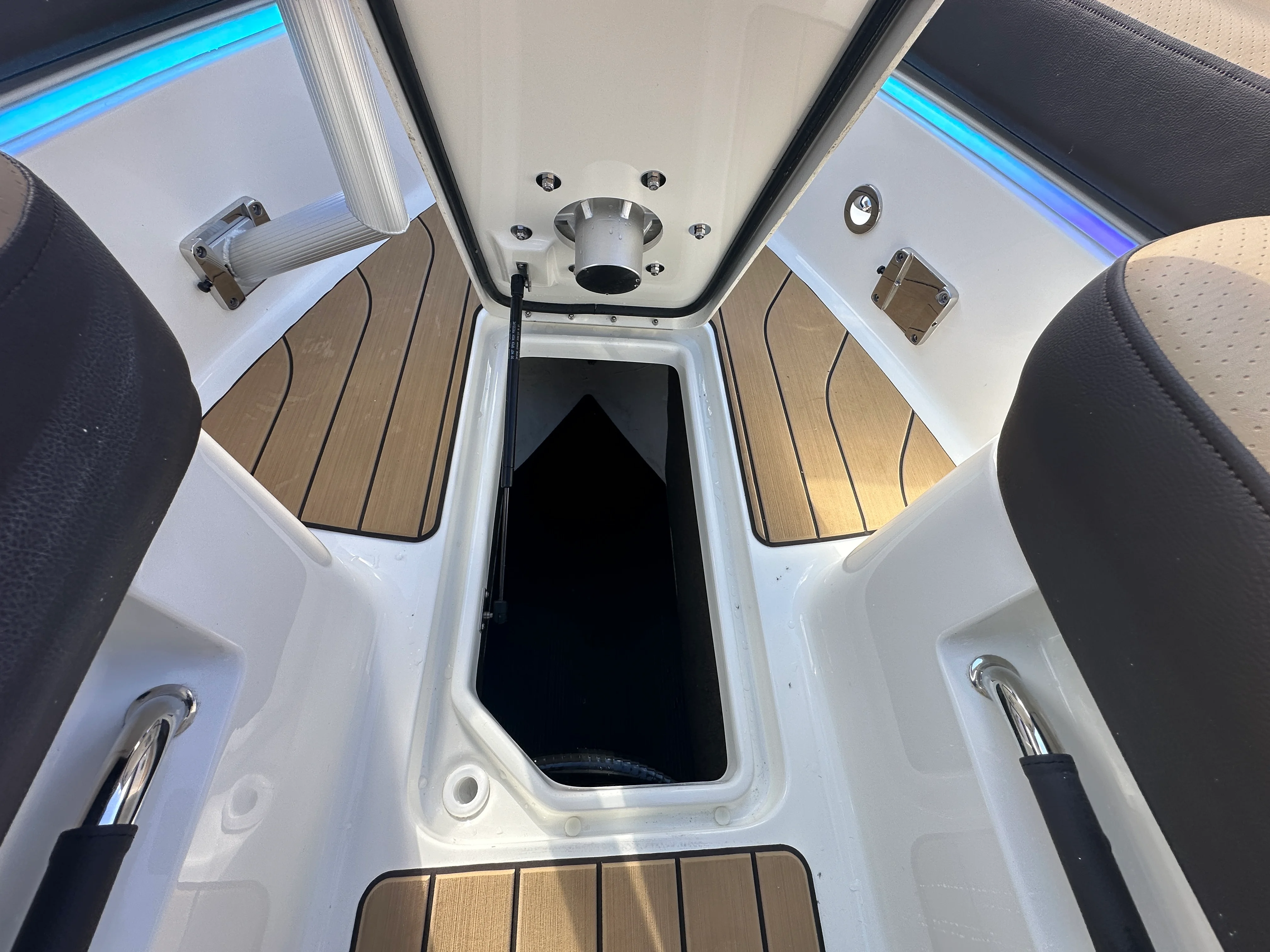 2026 Sea Ray SLX 310 Image Thumbnail #38