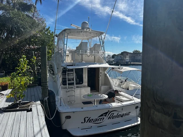 2008 Bertram 45C Image Thumbnail #74