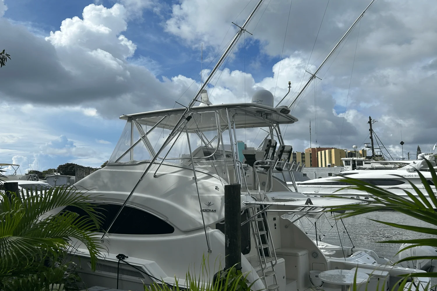 2008 Bertram 45C Image Thumbnail #21